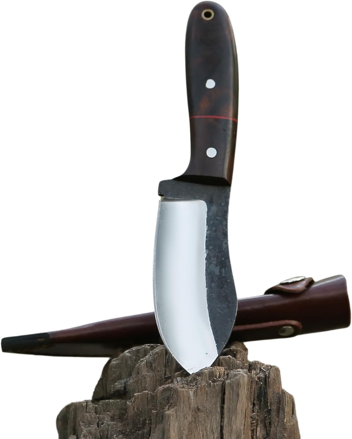 RidgeHunter High-Carbon Steel Survival Knife – 9-Inch Tactical Blade with Rosewood Handle