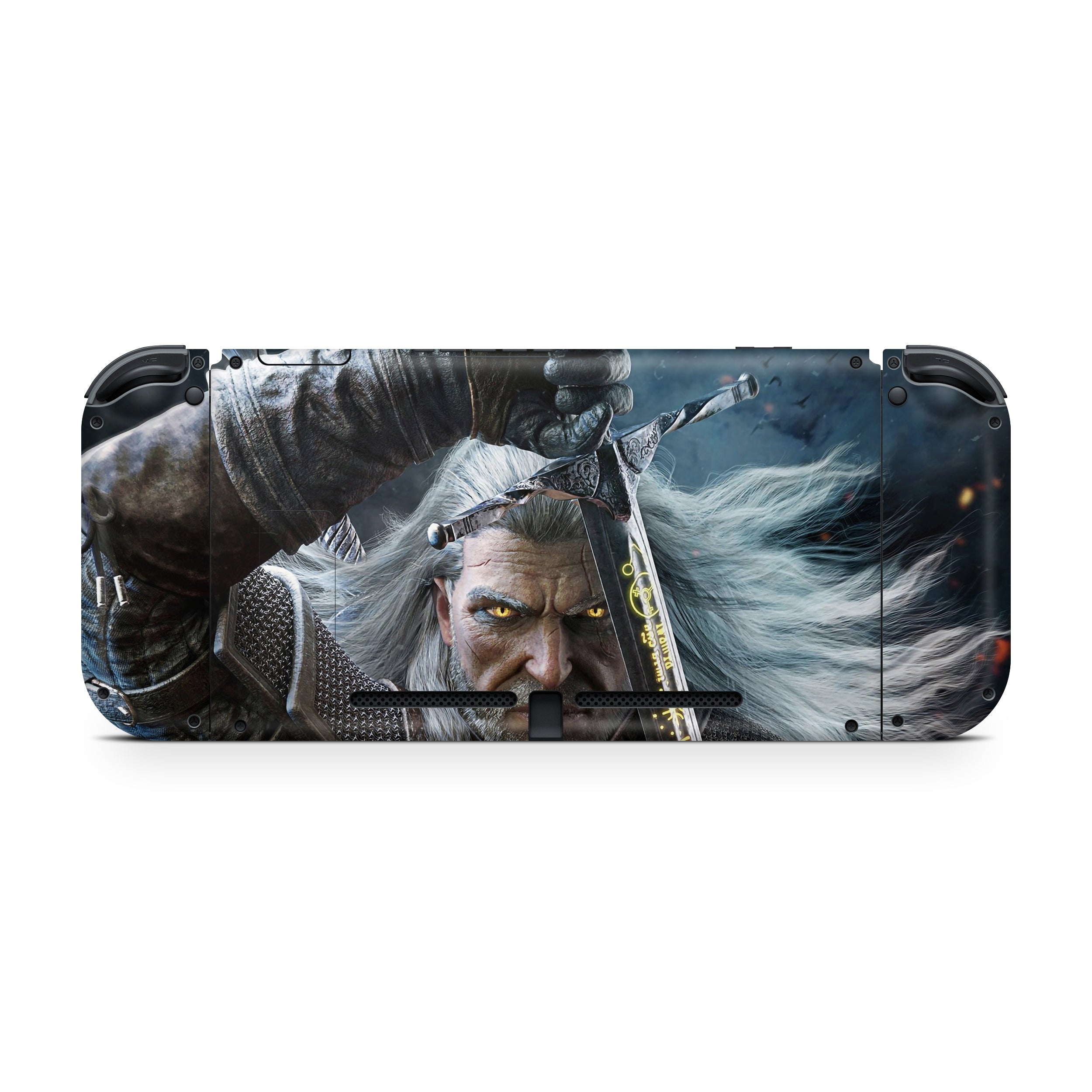 Arcane Warrior Nintendo Switch Skin