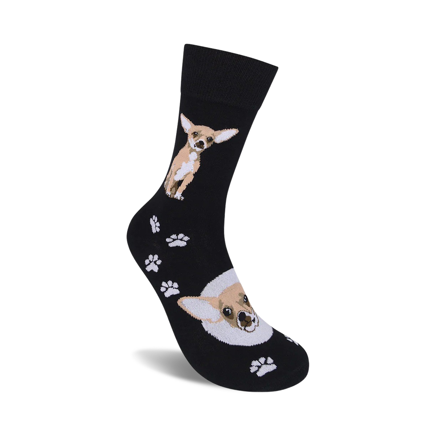 Chihuahua