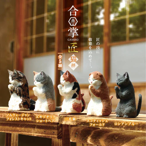 WISHING CATS BLIND BOX (1 Blind Box)