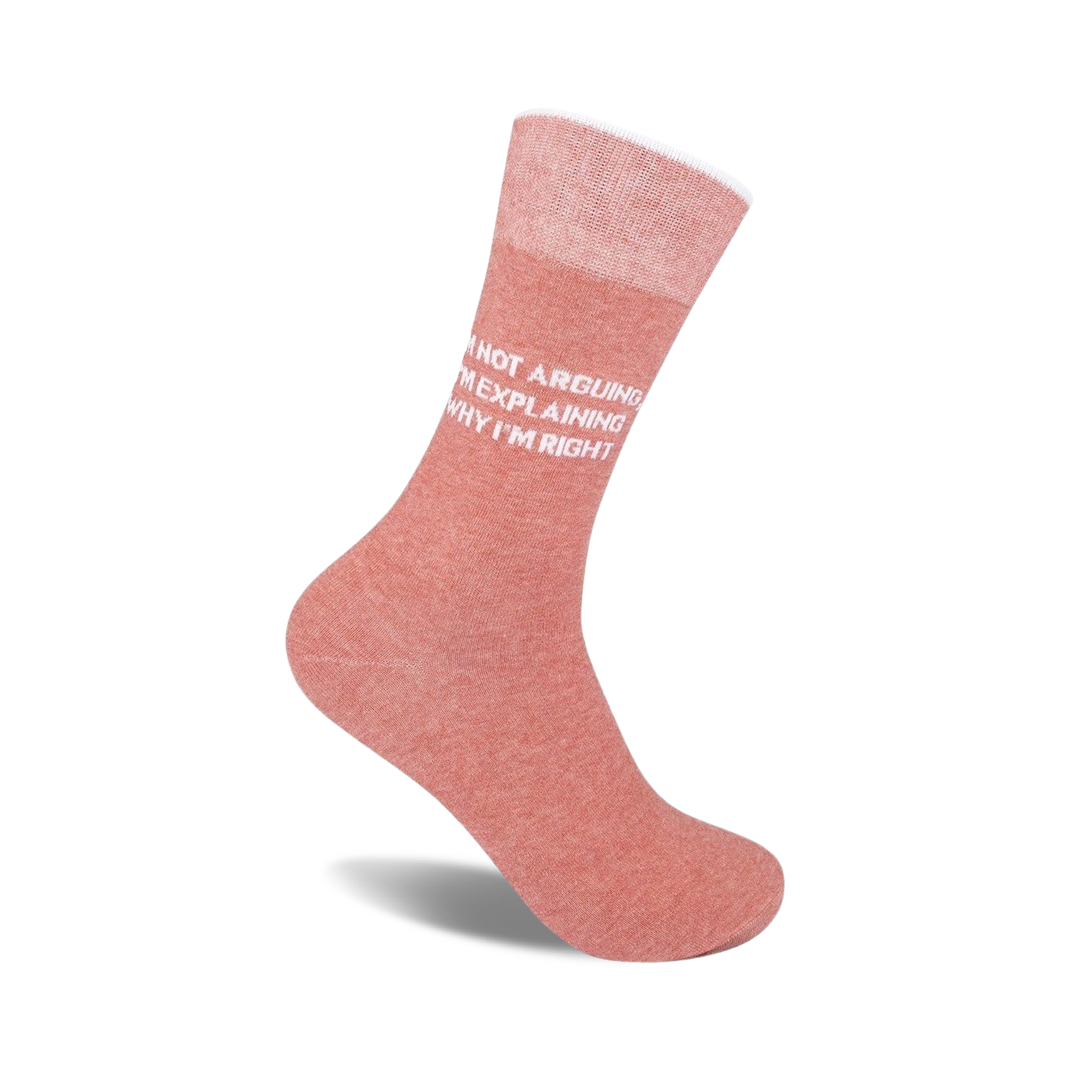 I'm Not Arguing, I'm Explaining Why I'm Right