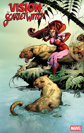 Vision & Scarlet Witch #1 F (Of 5) F 1:50 Sandy Plunkett Hidden Gem Variant (05/21/2025) Marvel