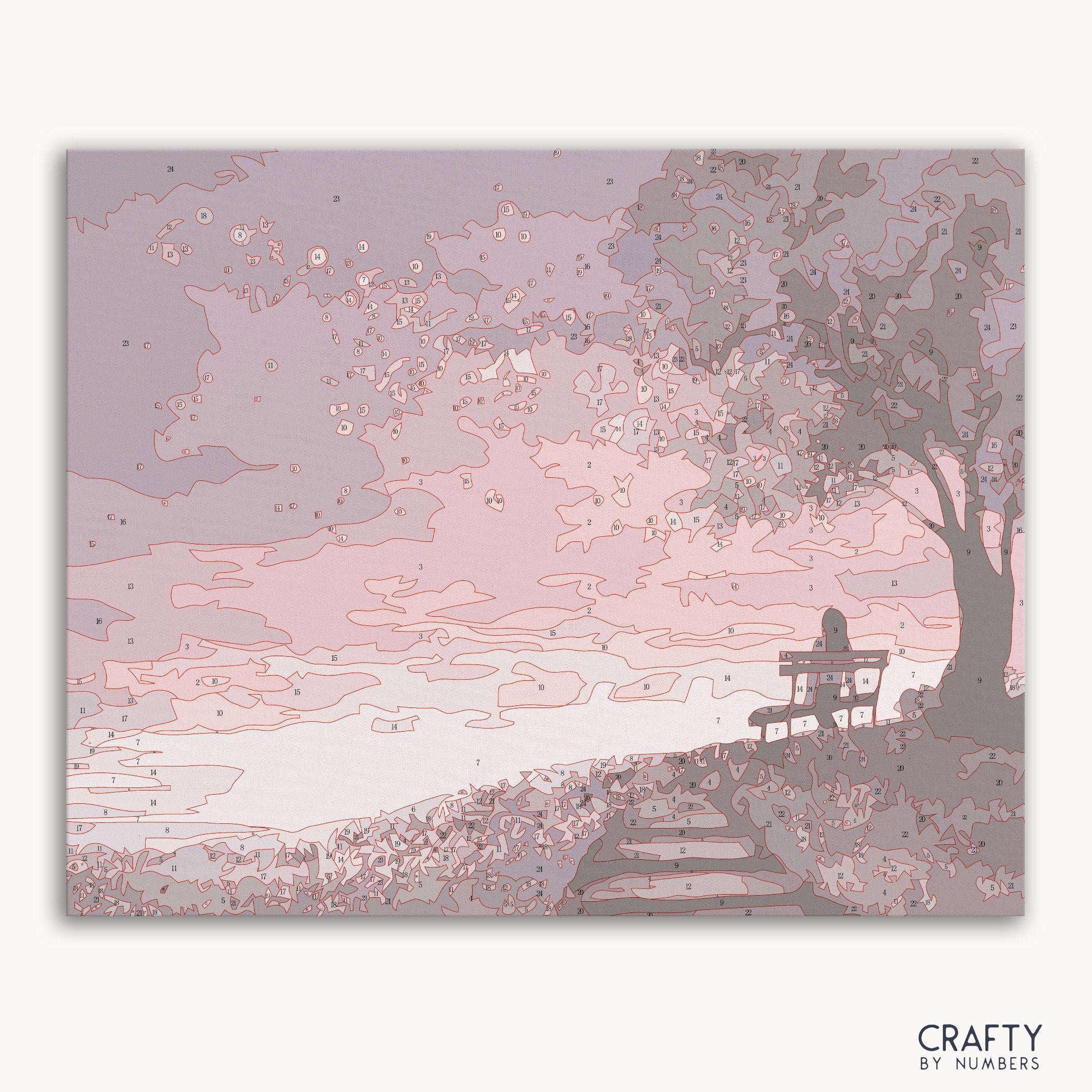 Dreams Under the Stars