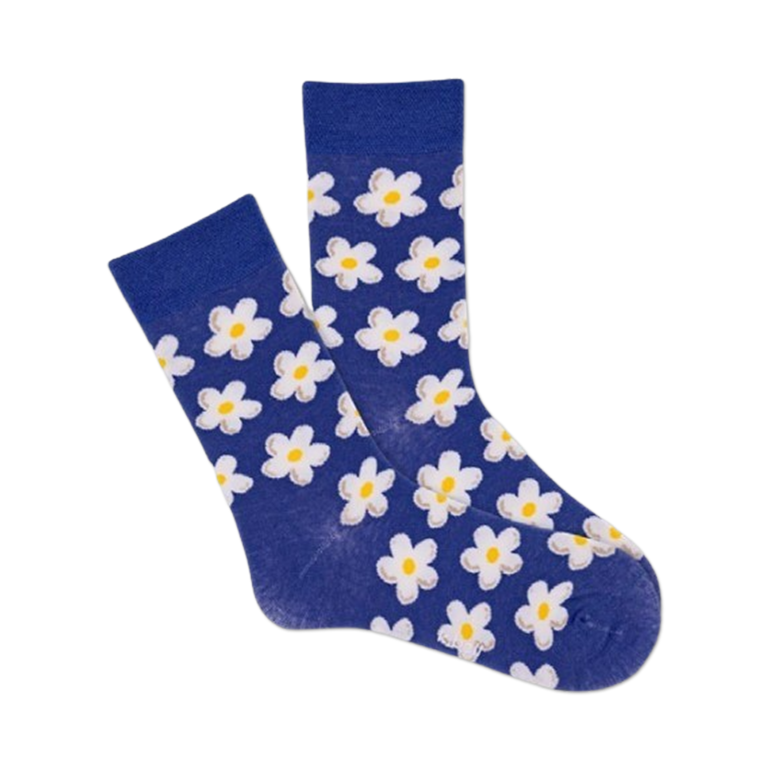 Daisy Dot