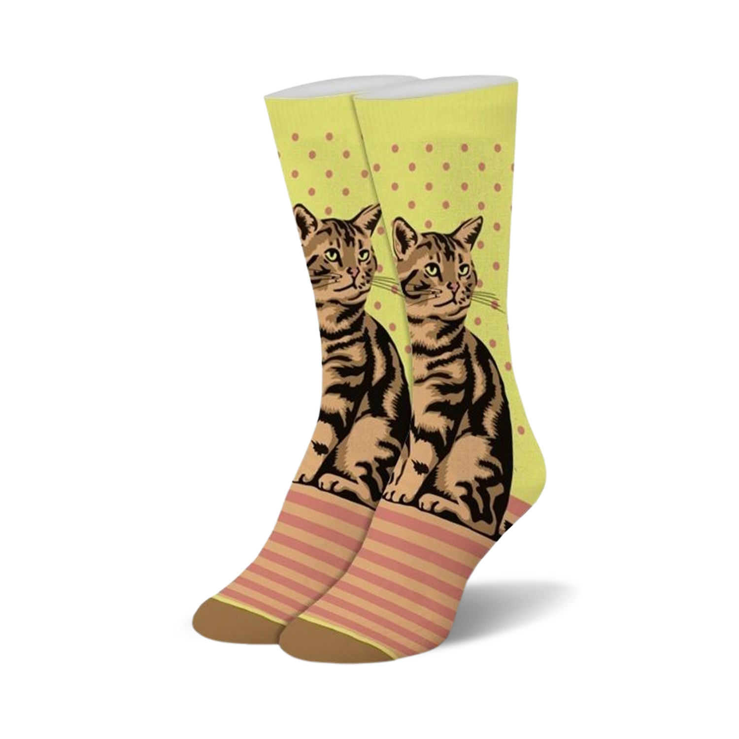 Tabby Cat