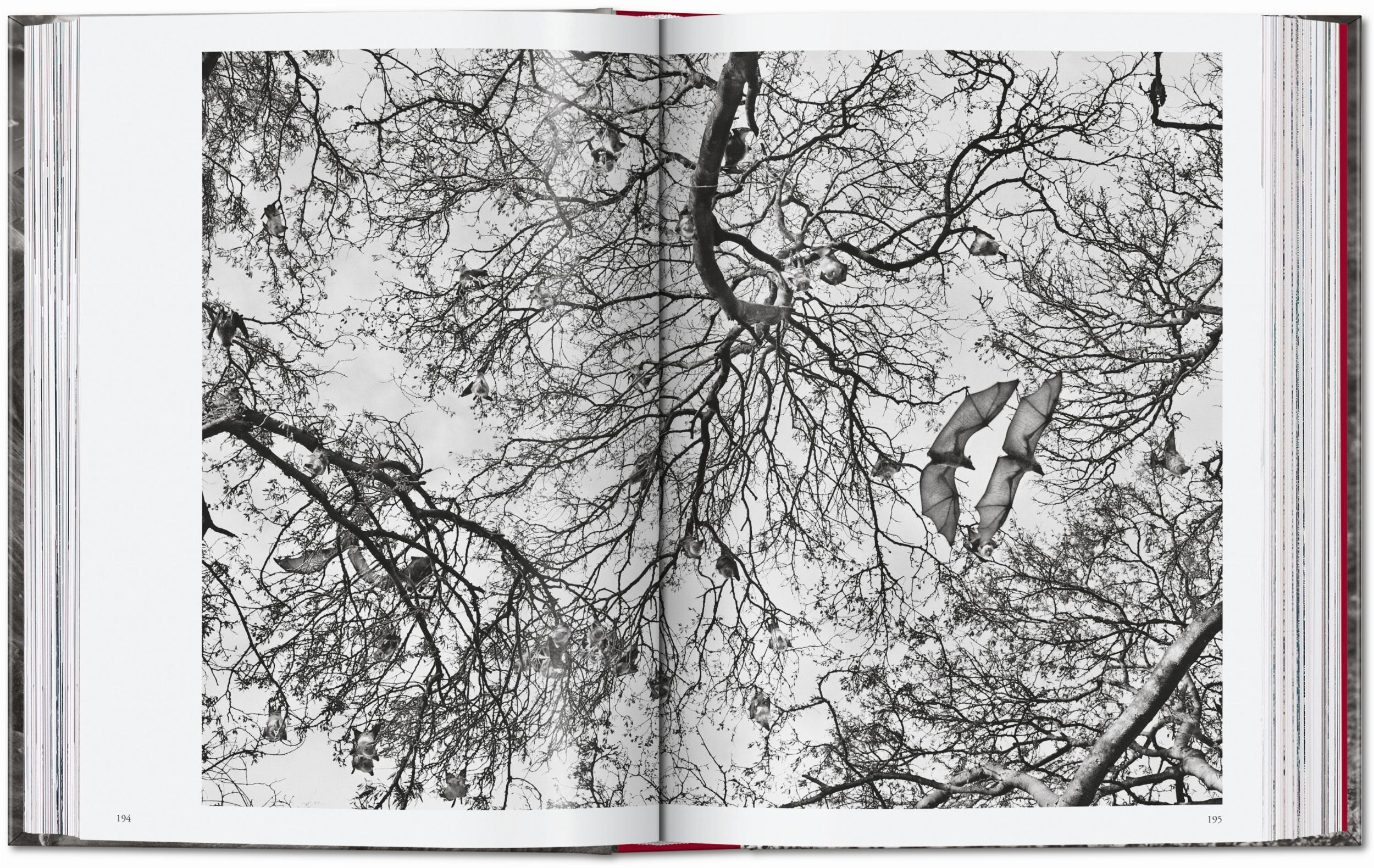 Sebastião Salgado. Genesis. 45th Ed. (English)