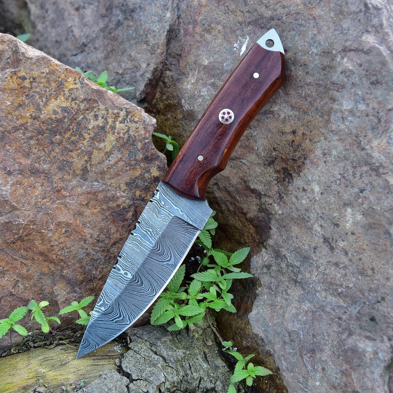 Damascus Skinning Knife With Rose Wood Handle