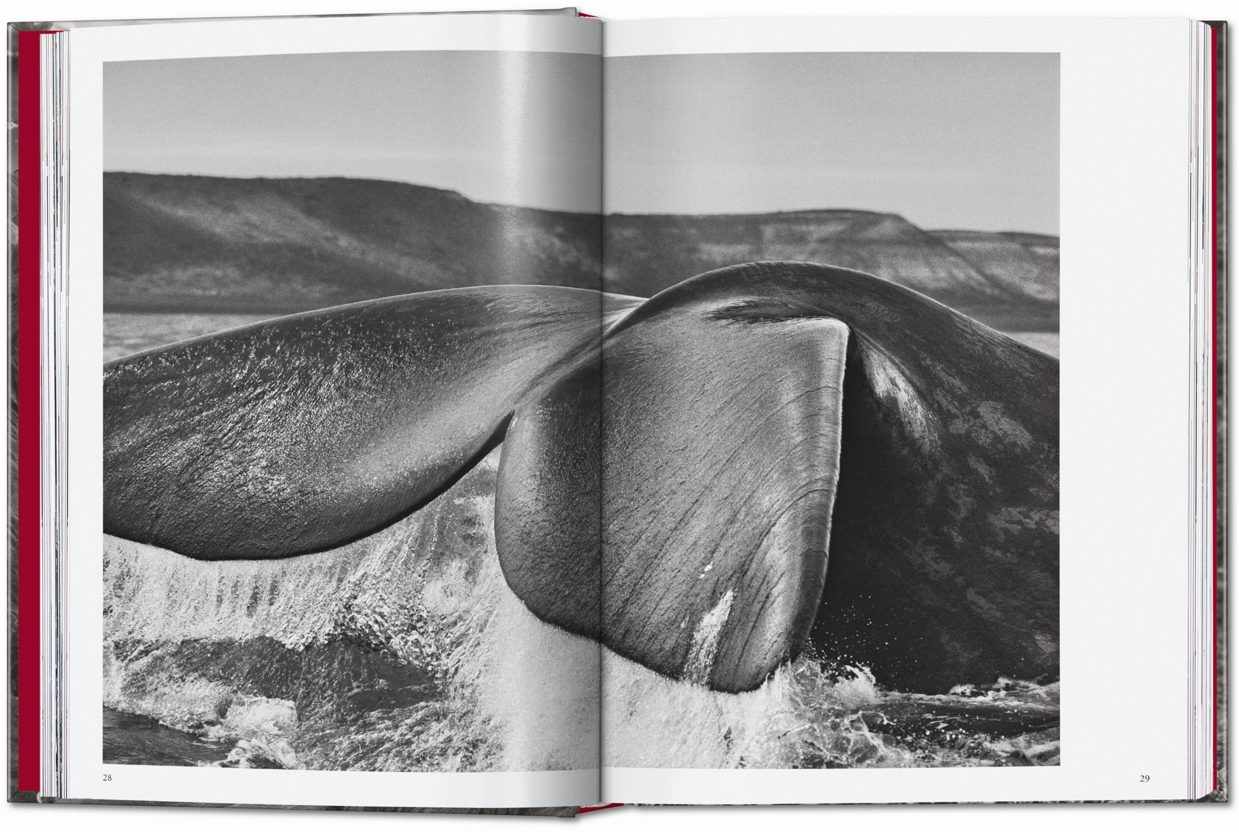Sebastião Salgado. Genesis. 45th Ed. (English)
