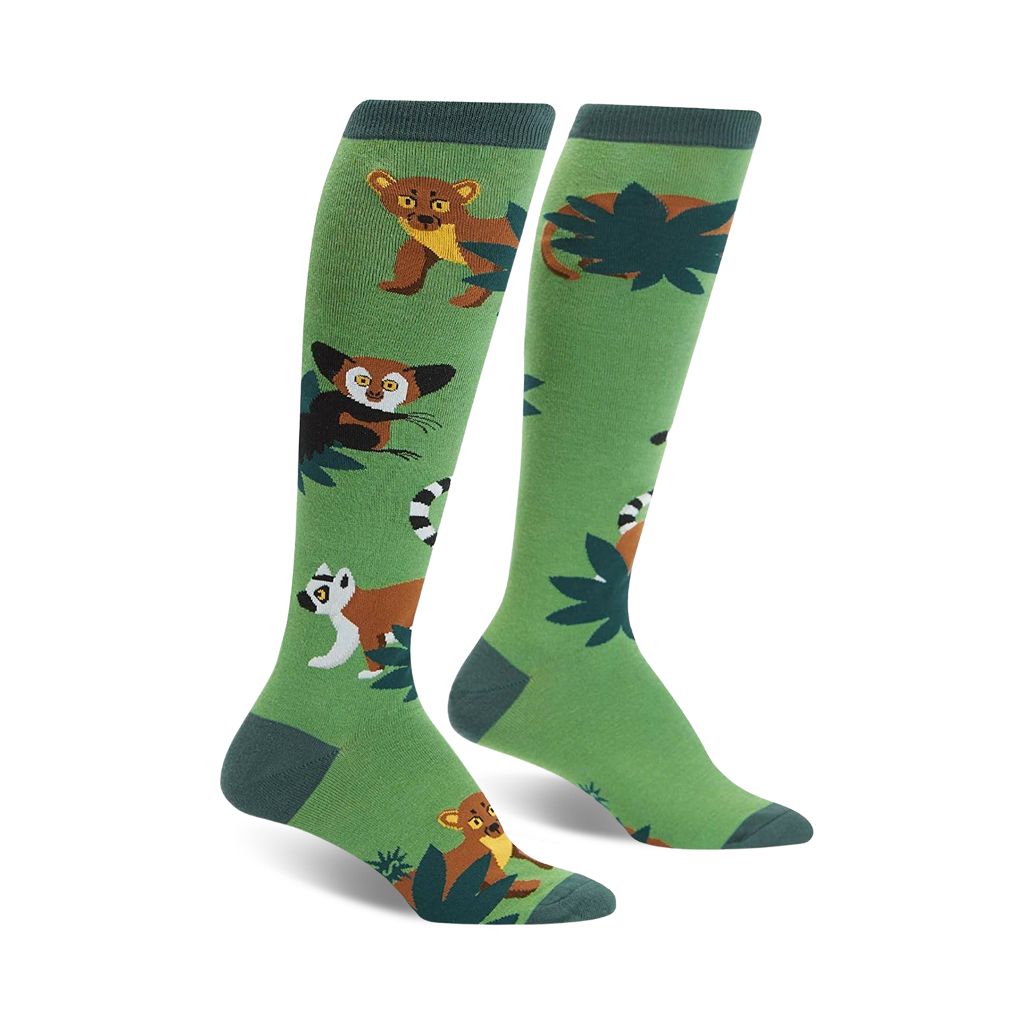 Madagascar Menagerie