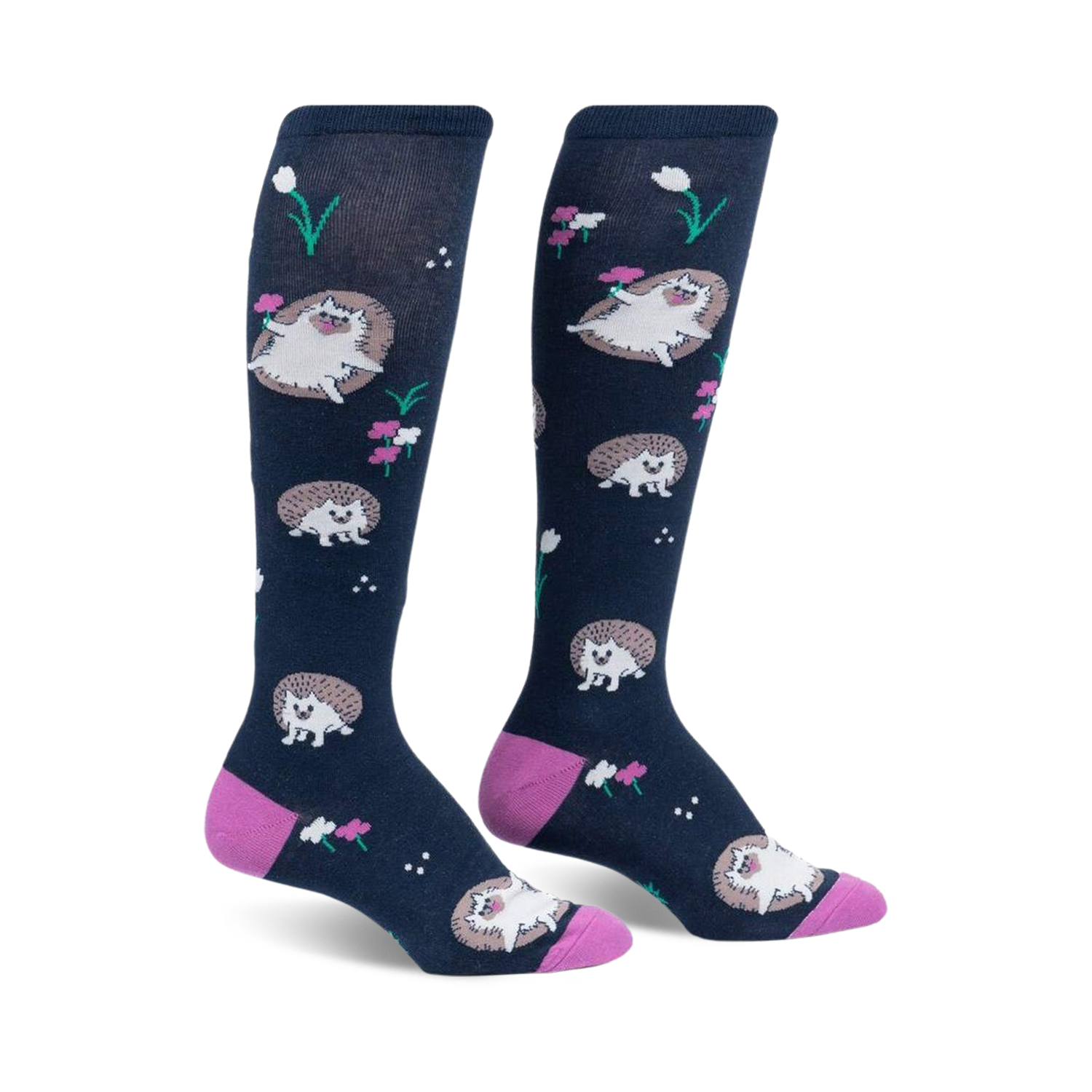 Rollin' with my Hedgehog