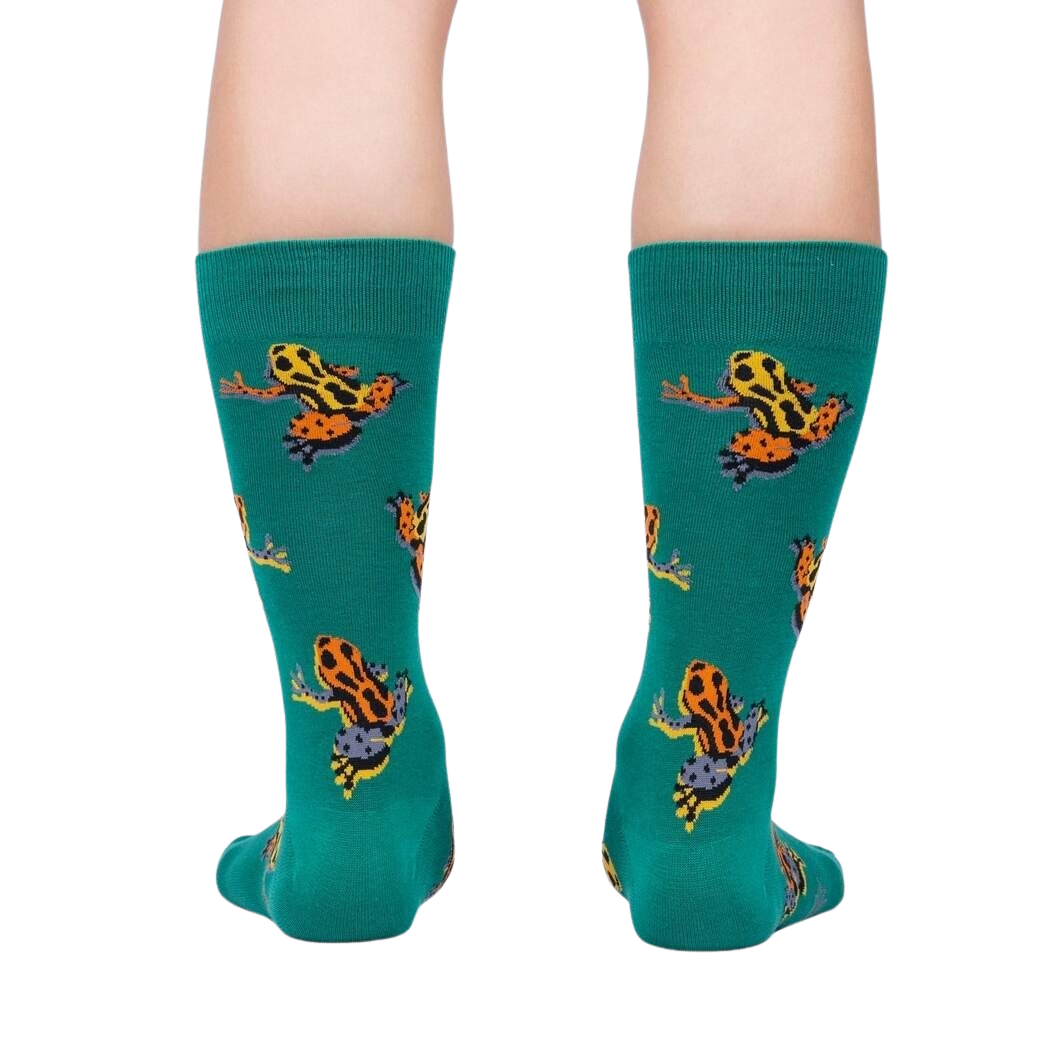 Poison Dart Frog