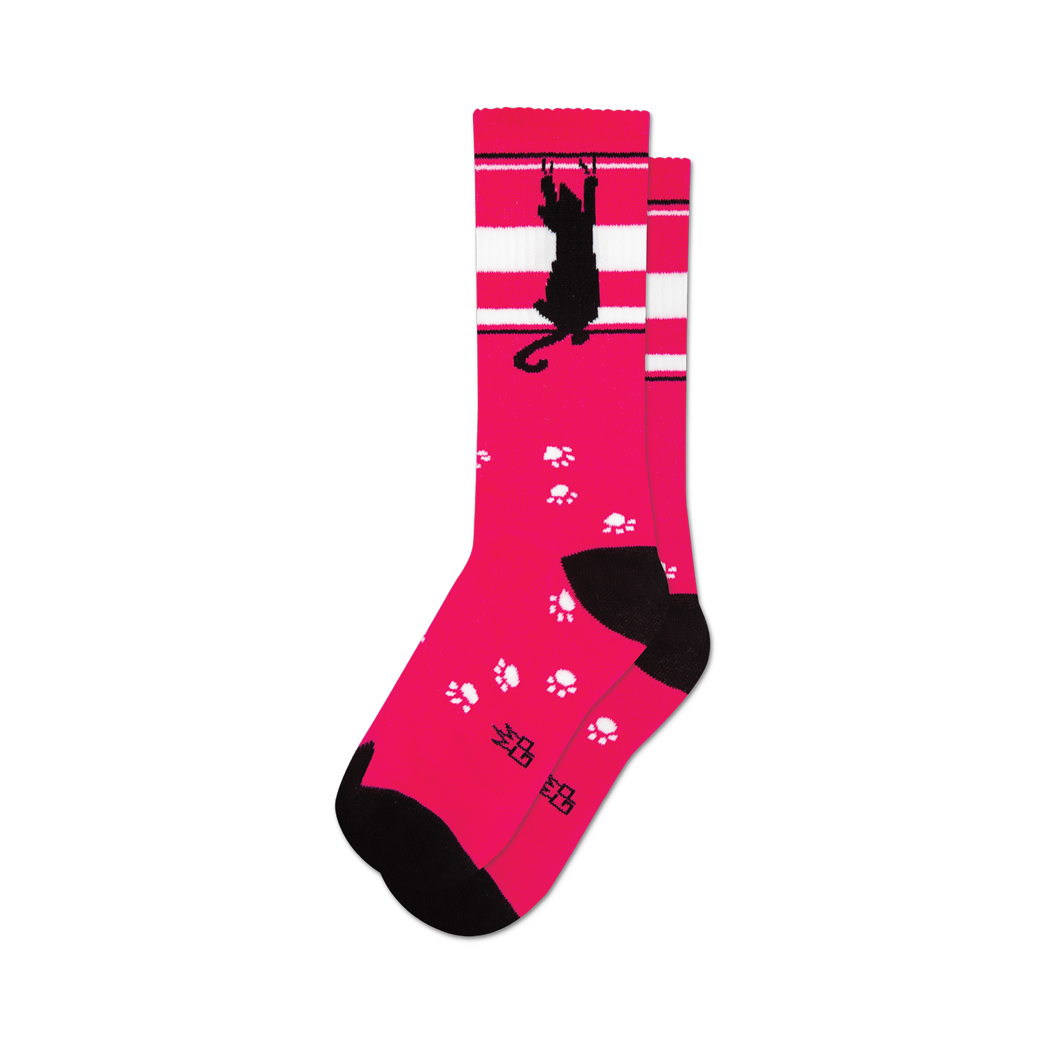 Scratching Black Cat