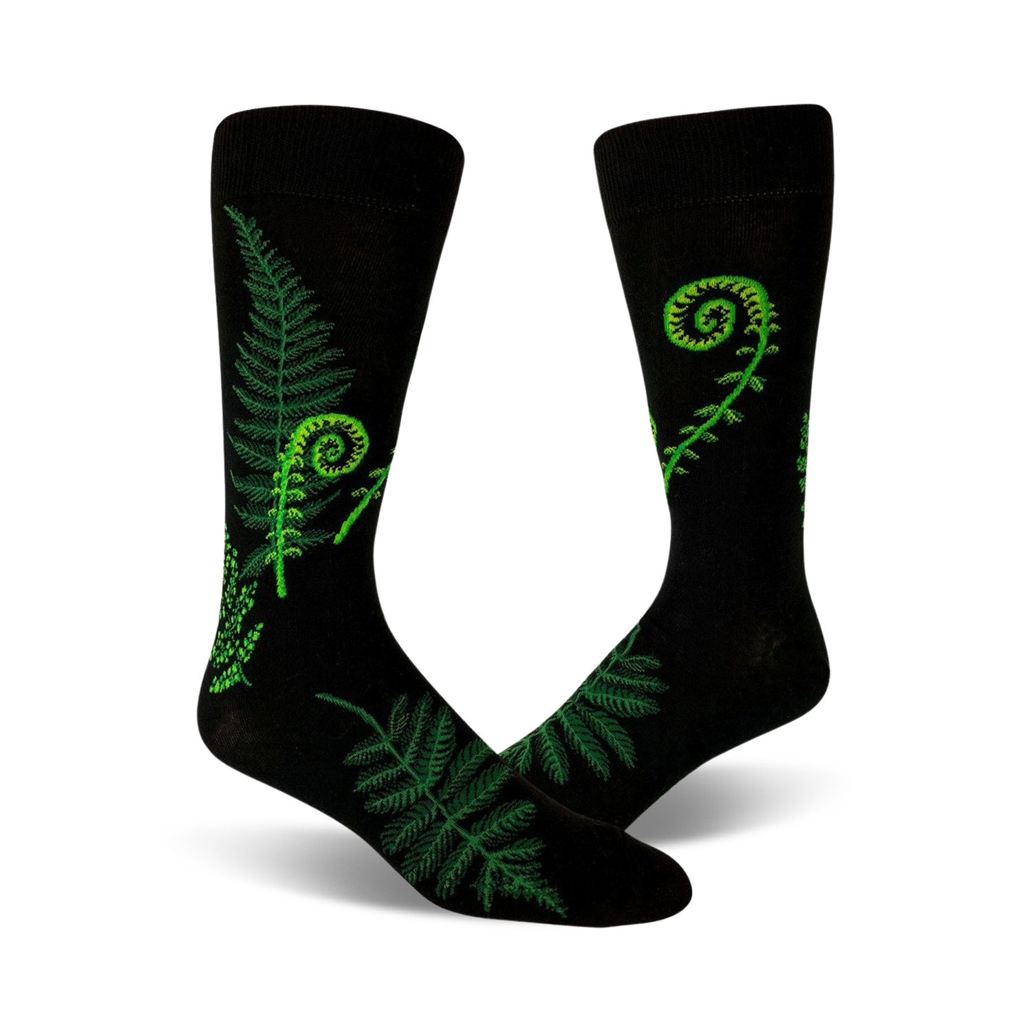 Ferns & Fiddleheads