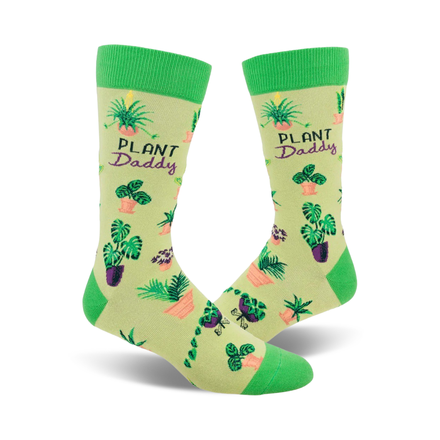 Plant Daddy