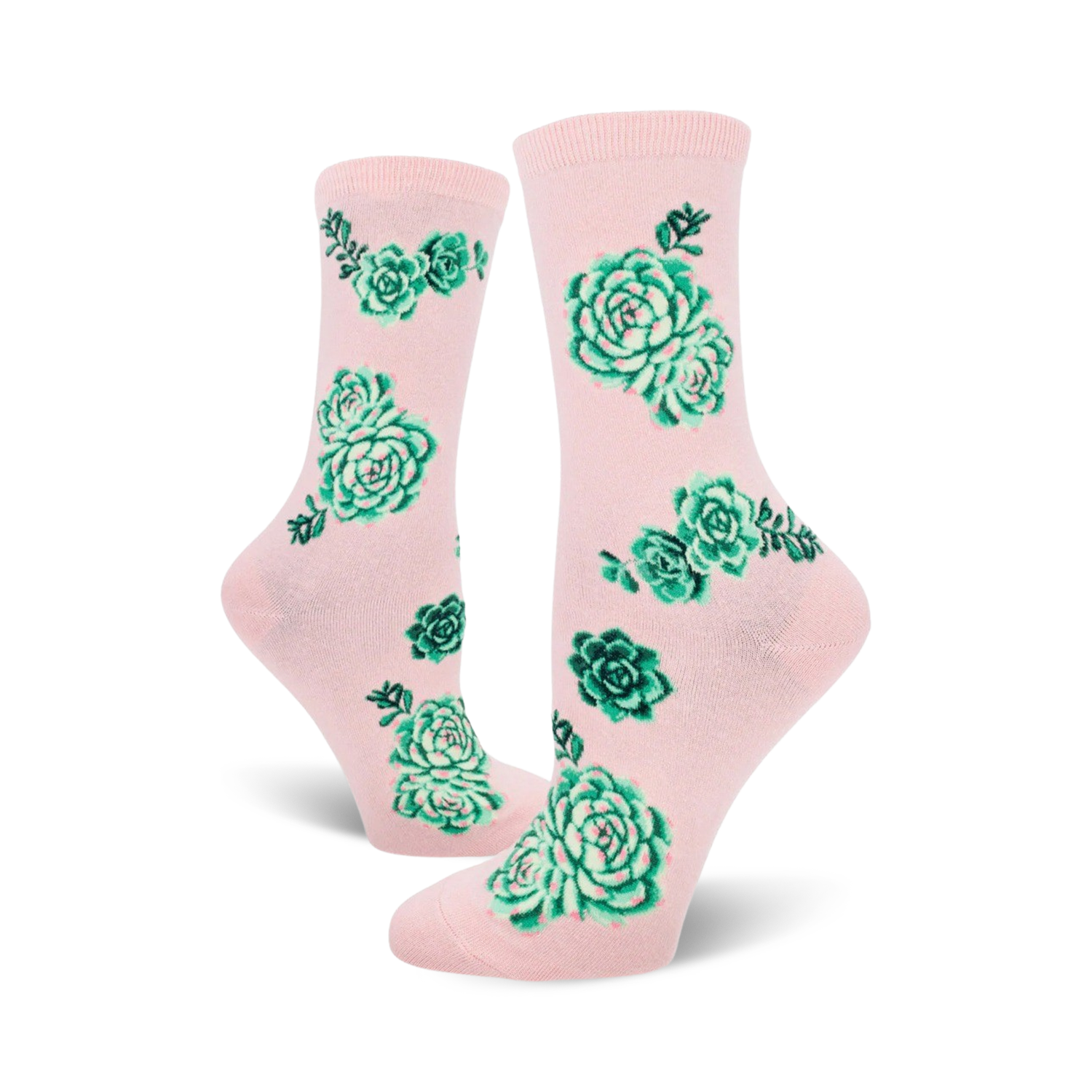 Succulent Plants