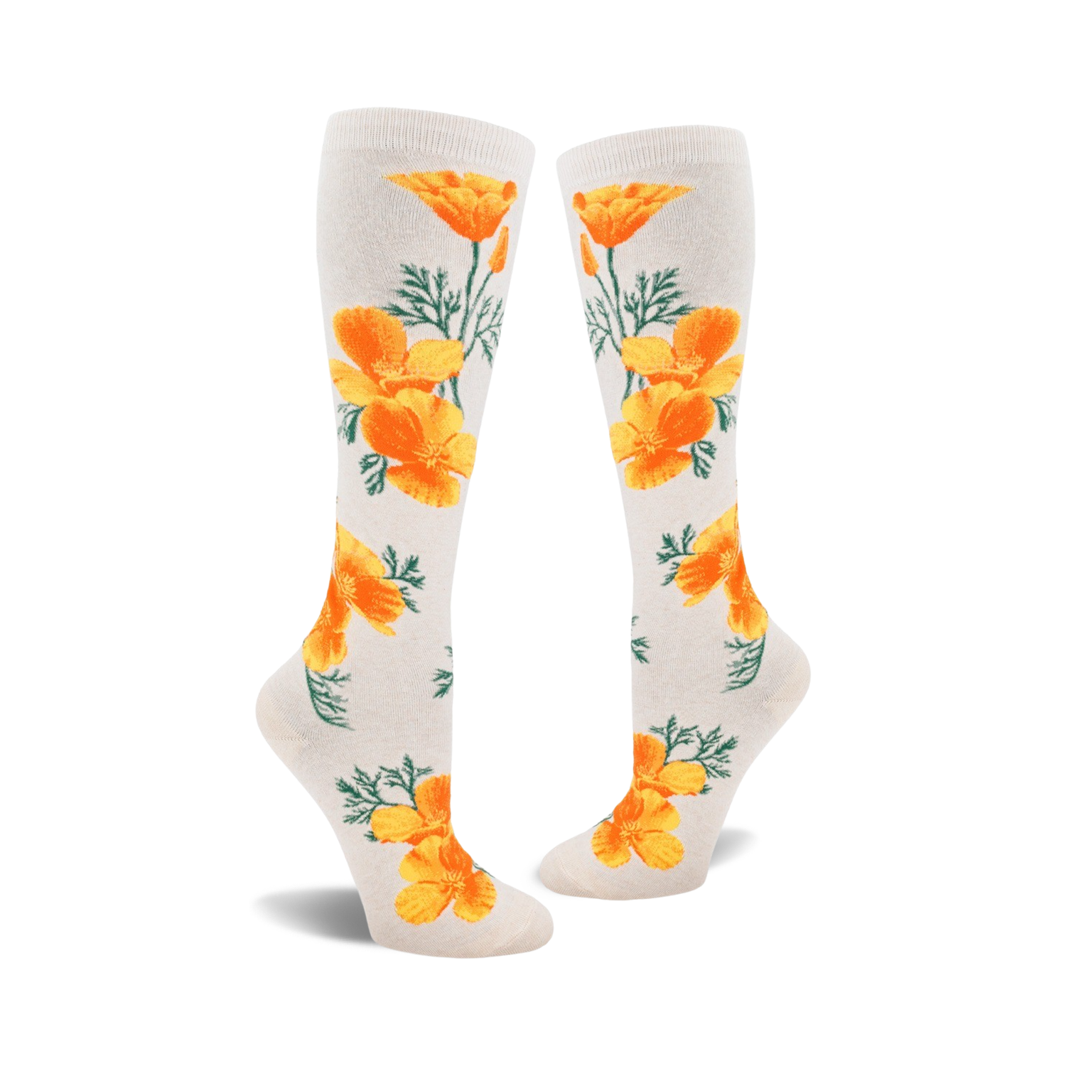 California Poppy