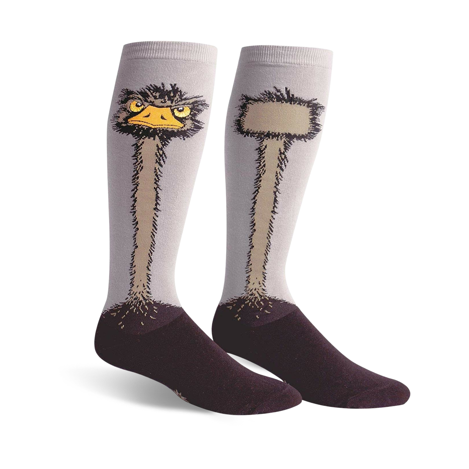 Ostrich