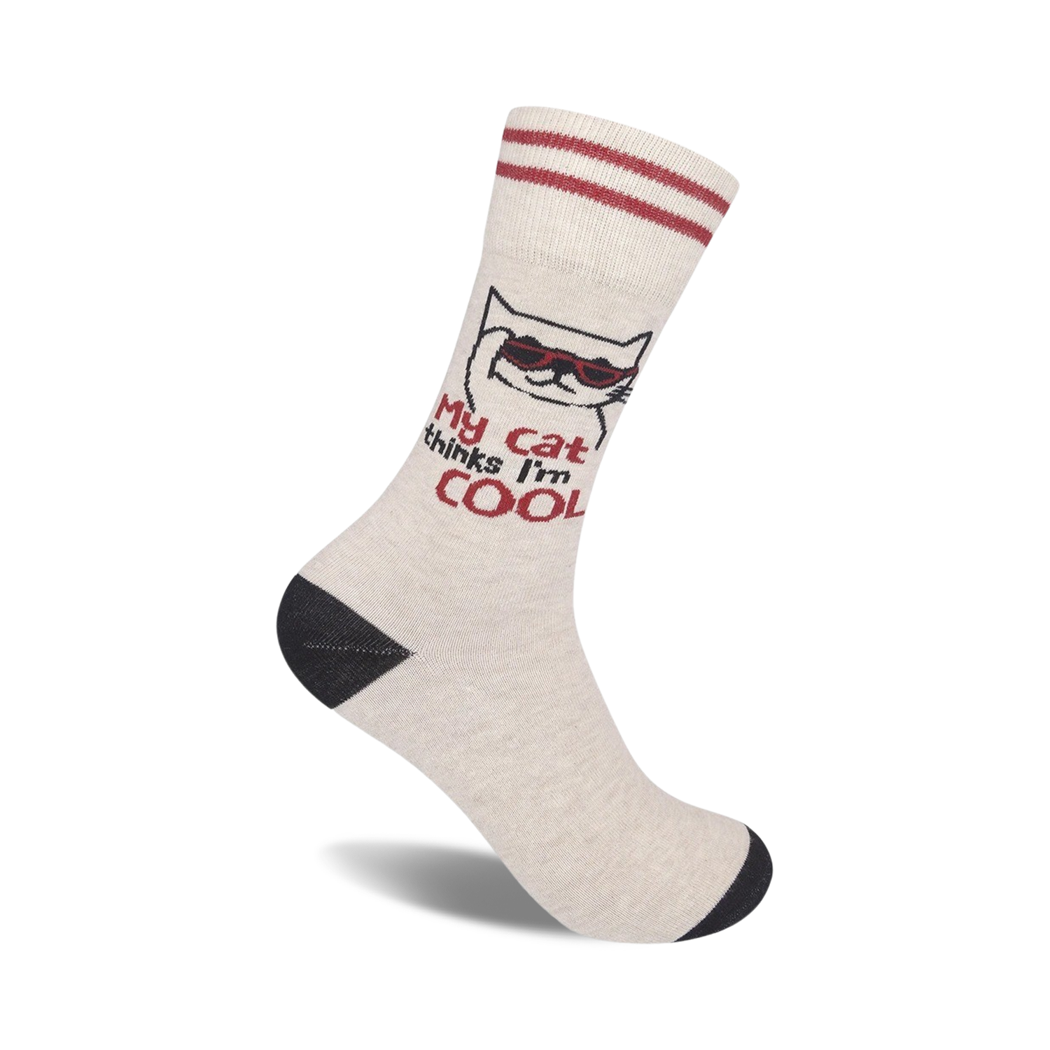 My Cat Thinks I'm Cool