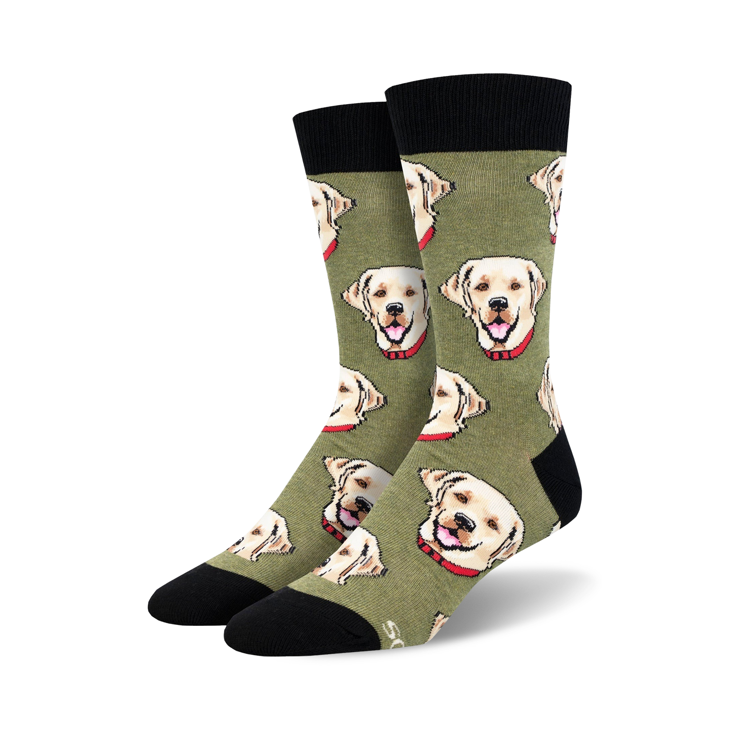 Labrador