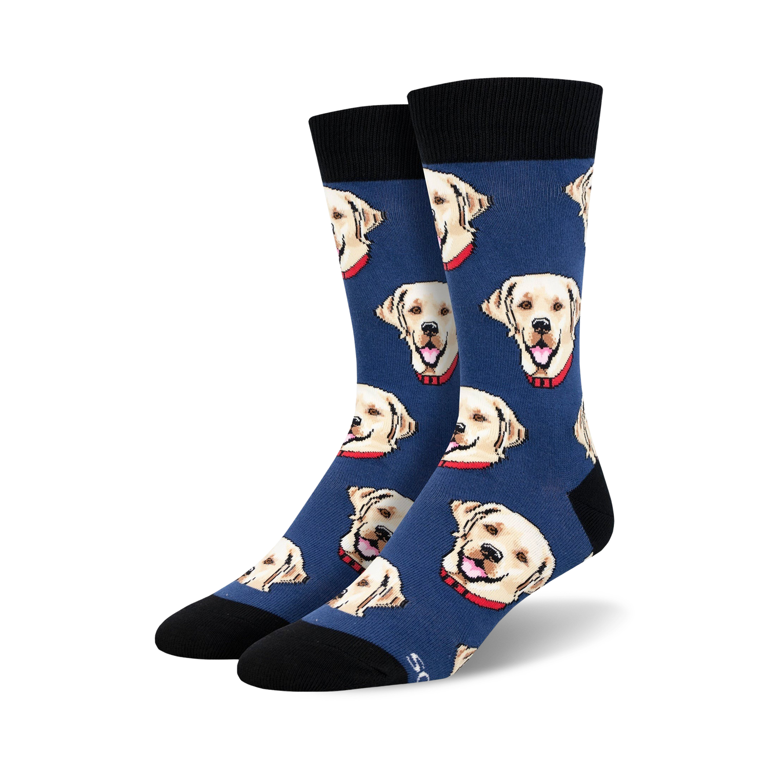 Labrador
