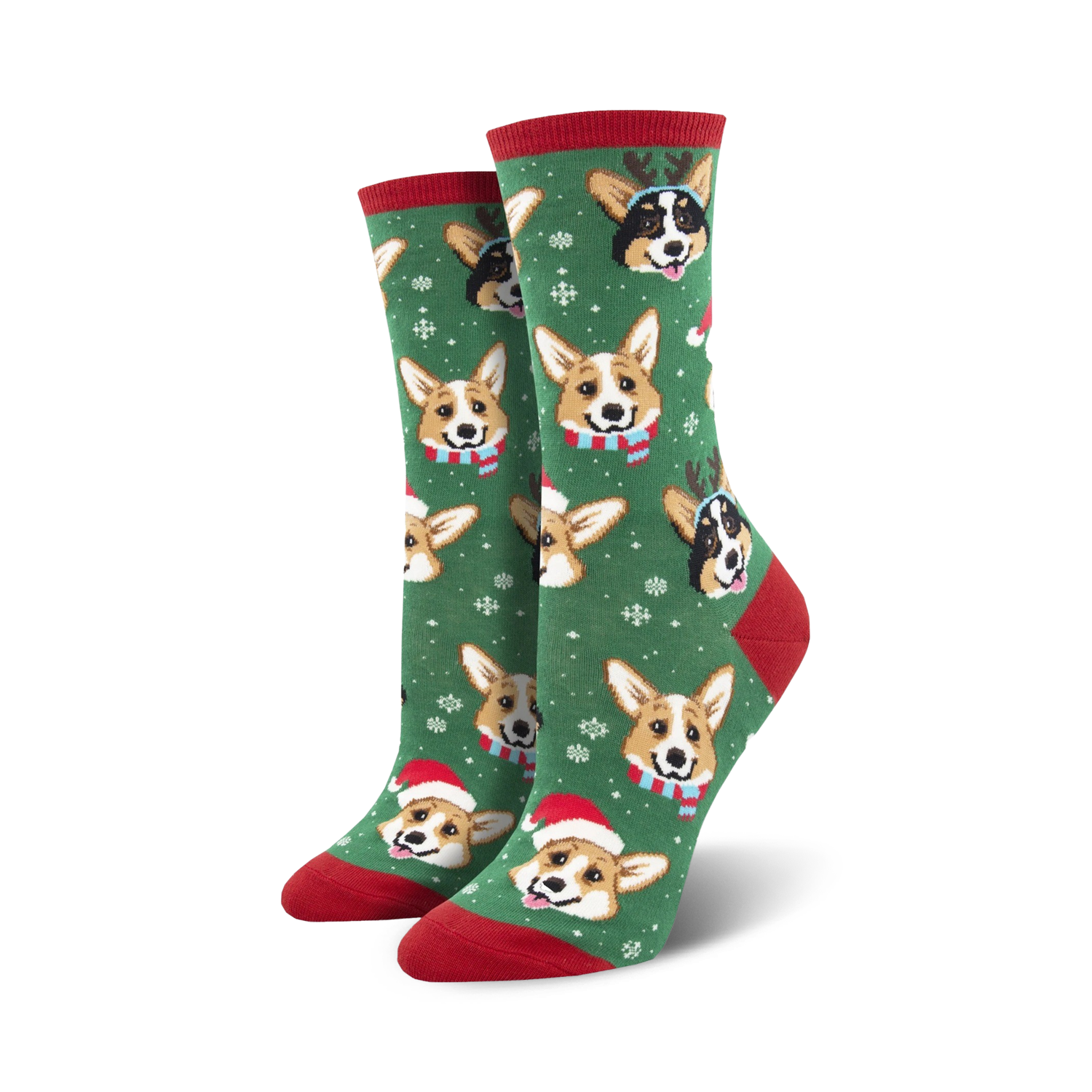 Happy Pawlidays