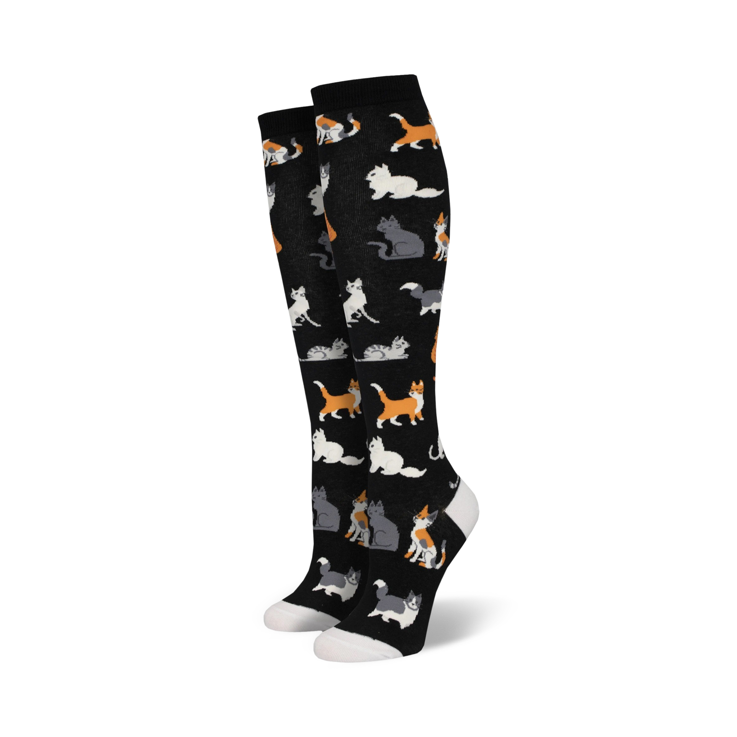 The Cats Meow