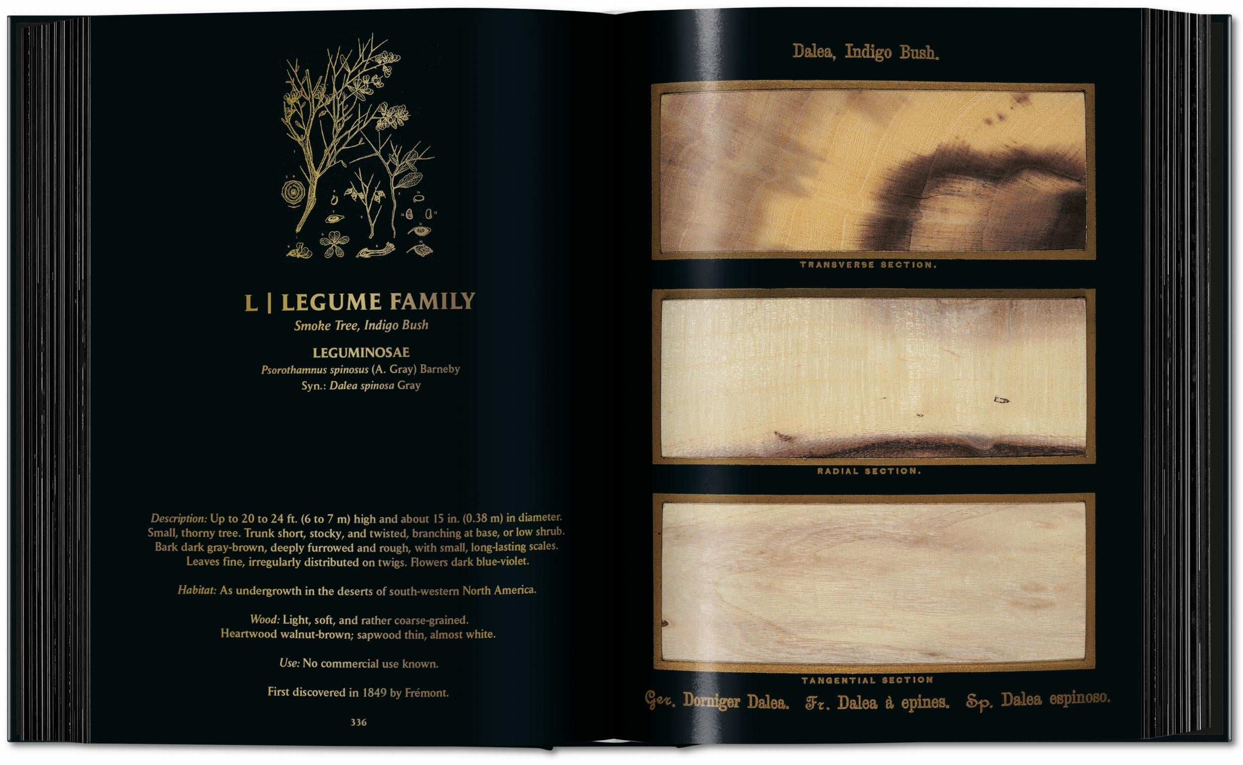 Romeyn B. Hough. The Woodbook. The Complete Plates (English)