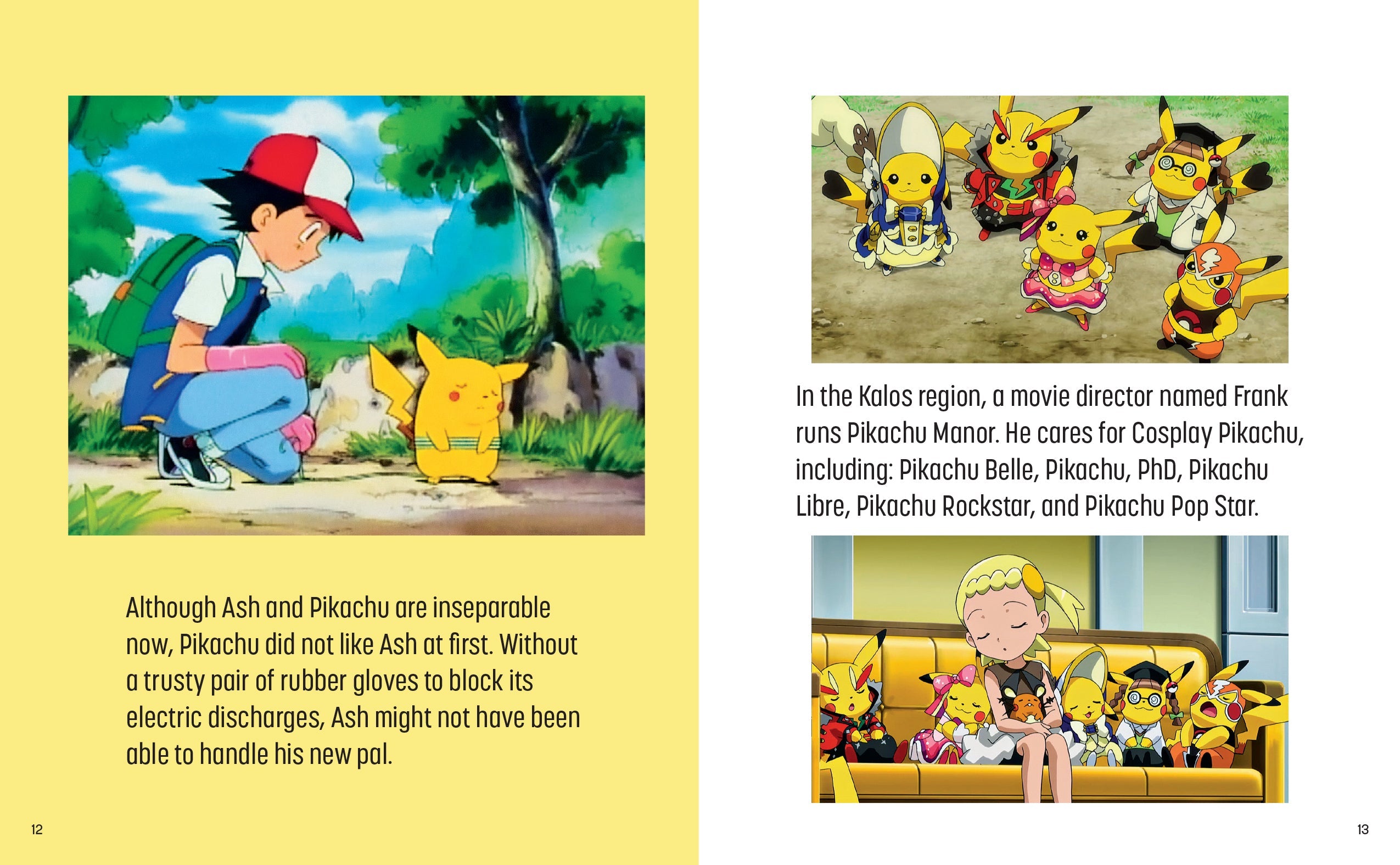 Pokemon: Trainer's Mini Exploration Guide