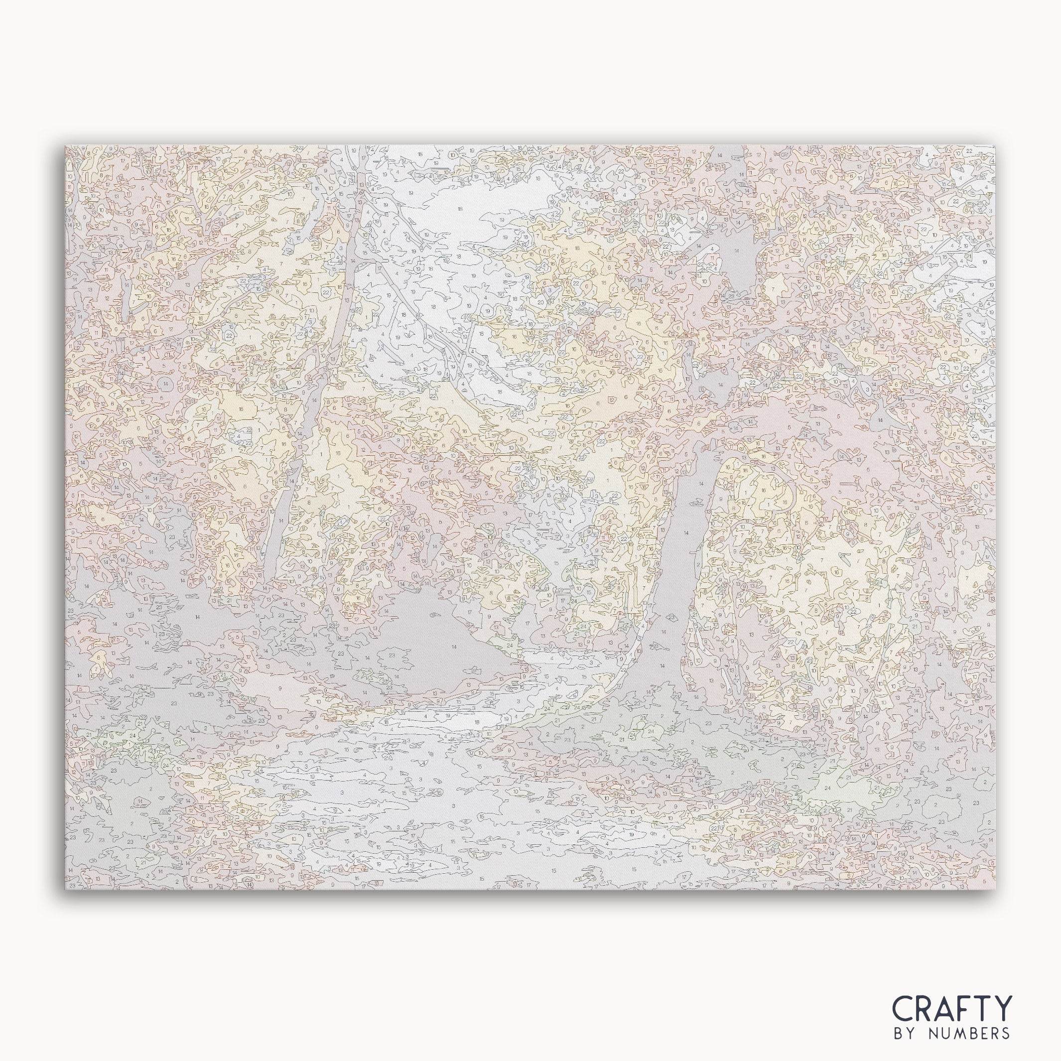 Autumn Forest
