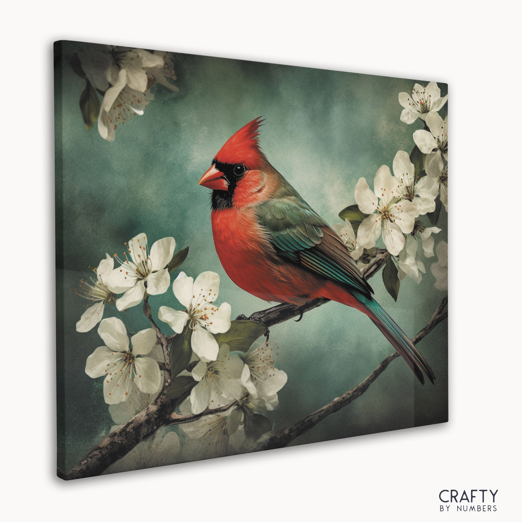 Northern Cardinal