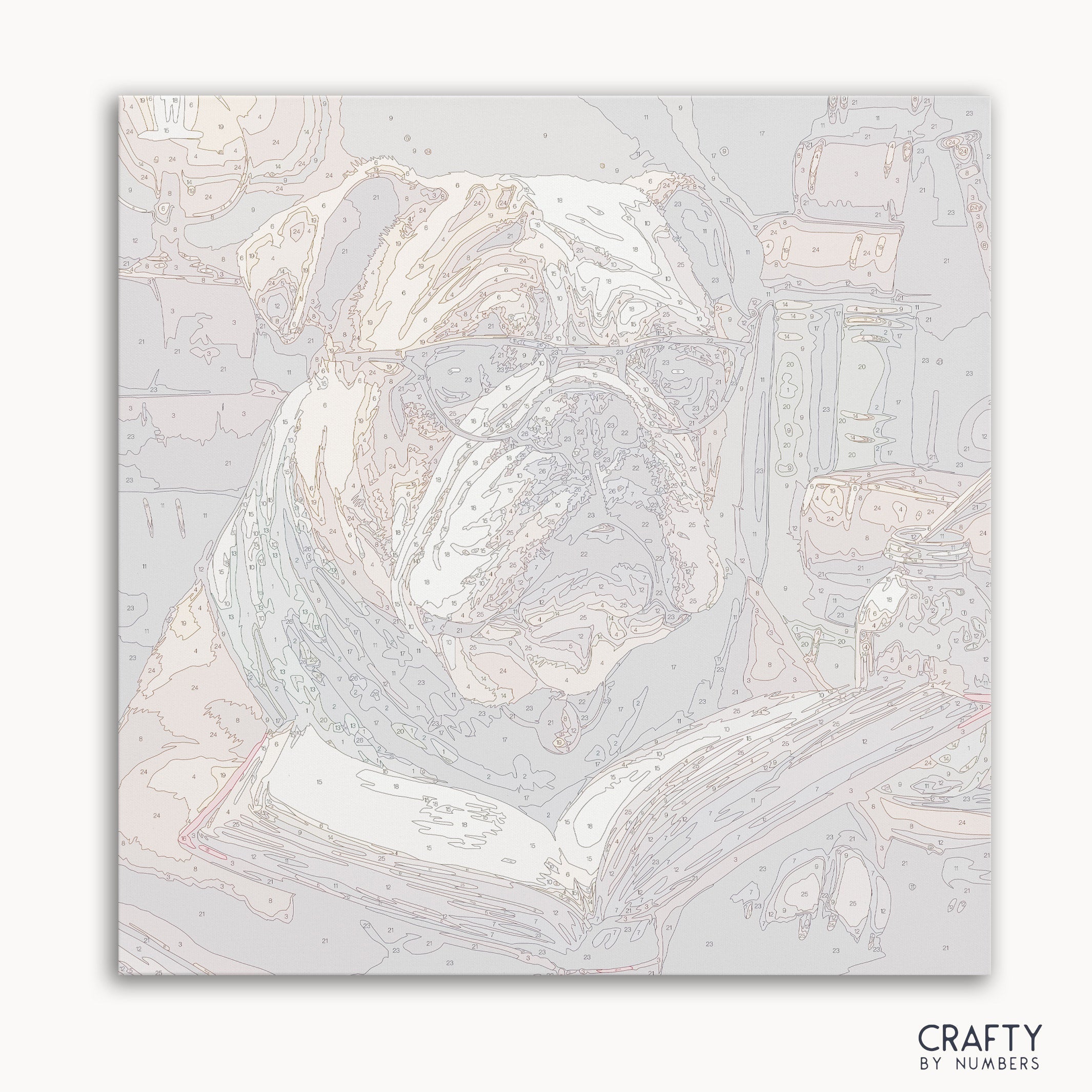 English Bulldog Reading