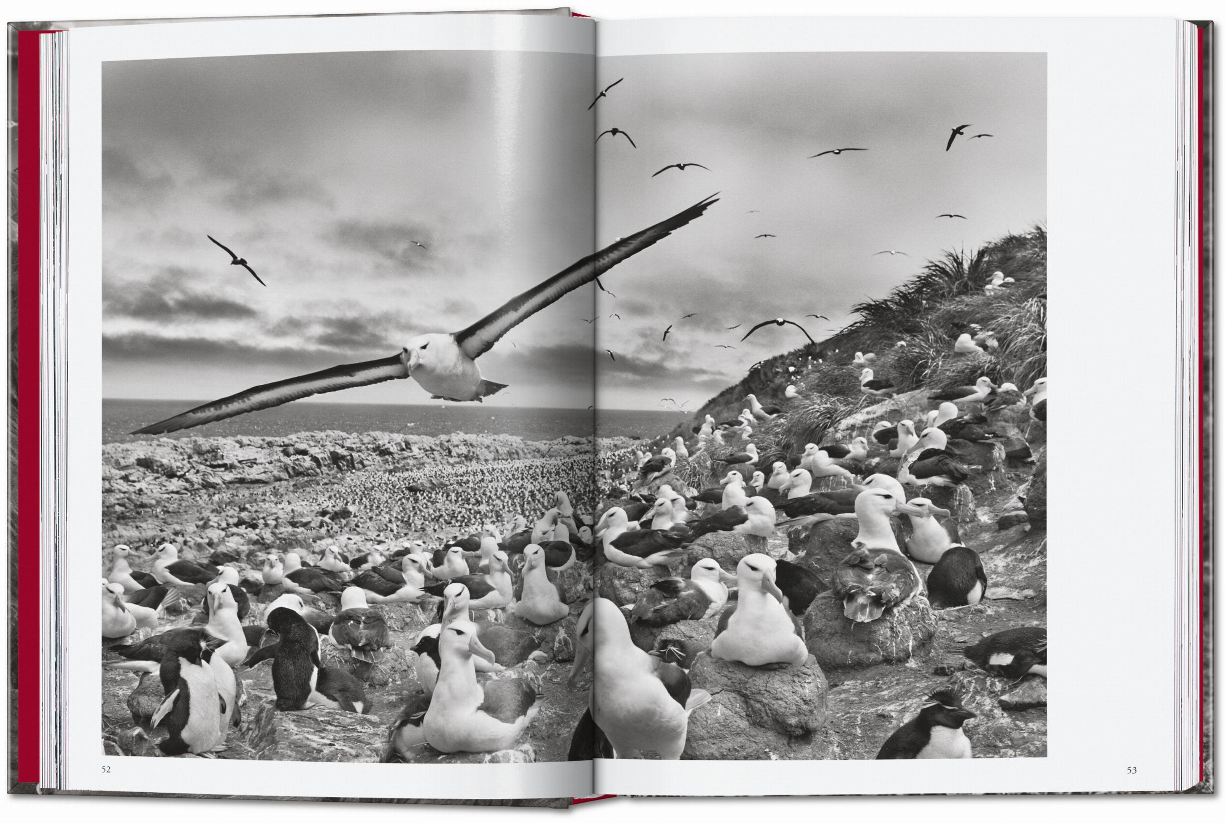 Sebastião Salgado. Genesis. 45th Ed. (English)