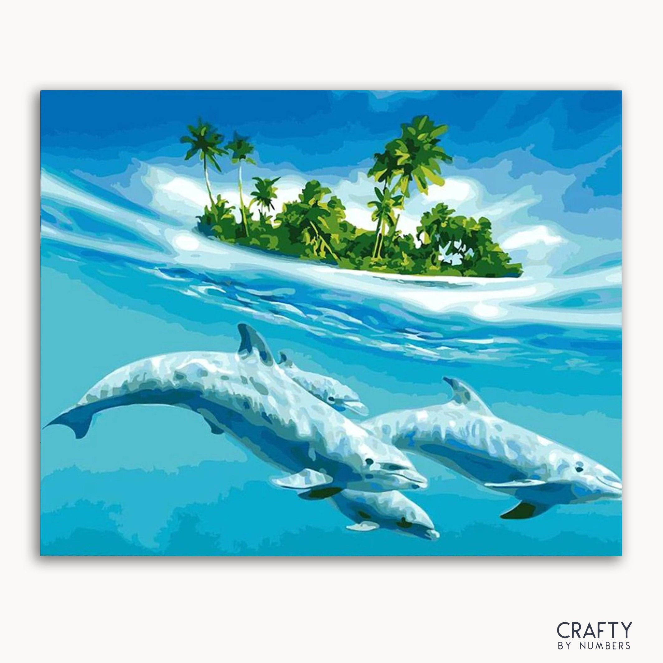 Dolphins Paradise