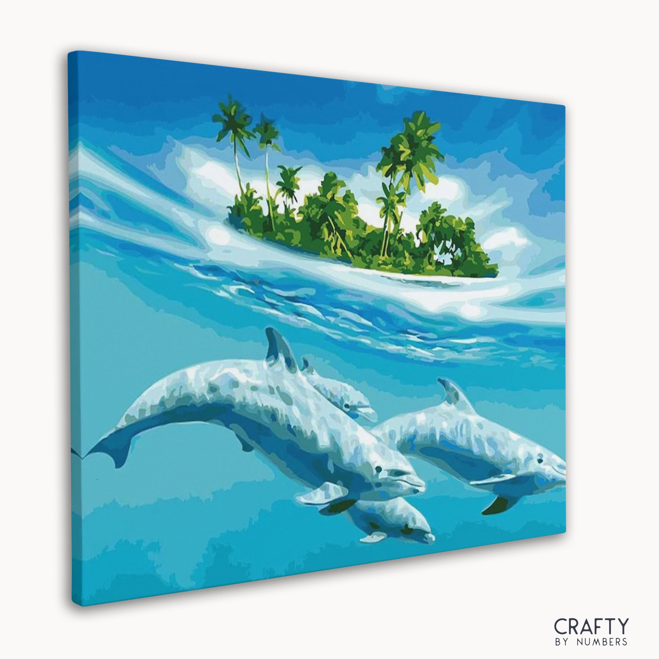 Dolphins Paradise