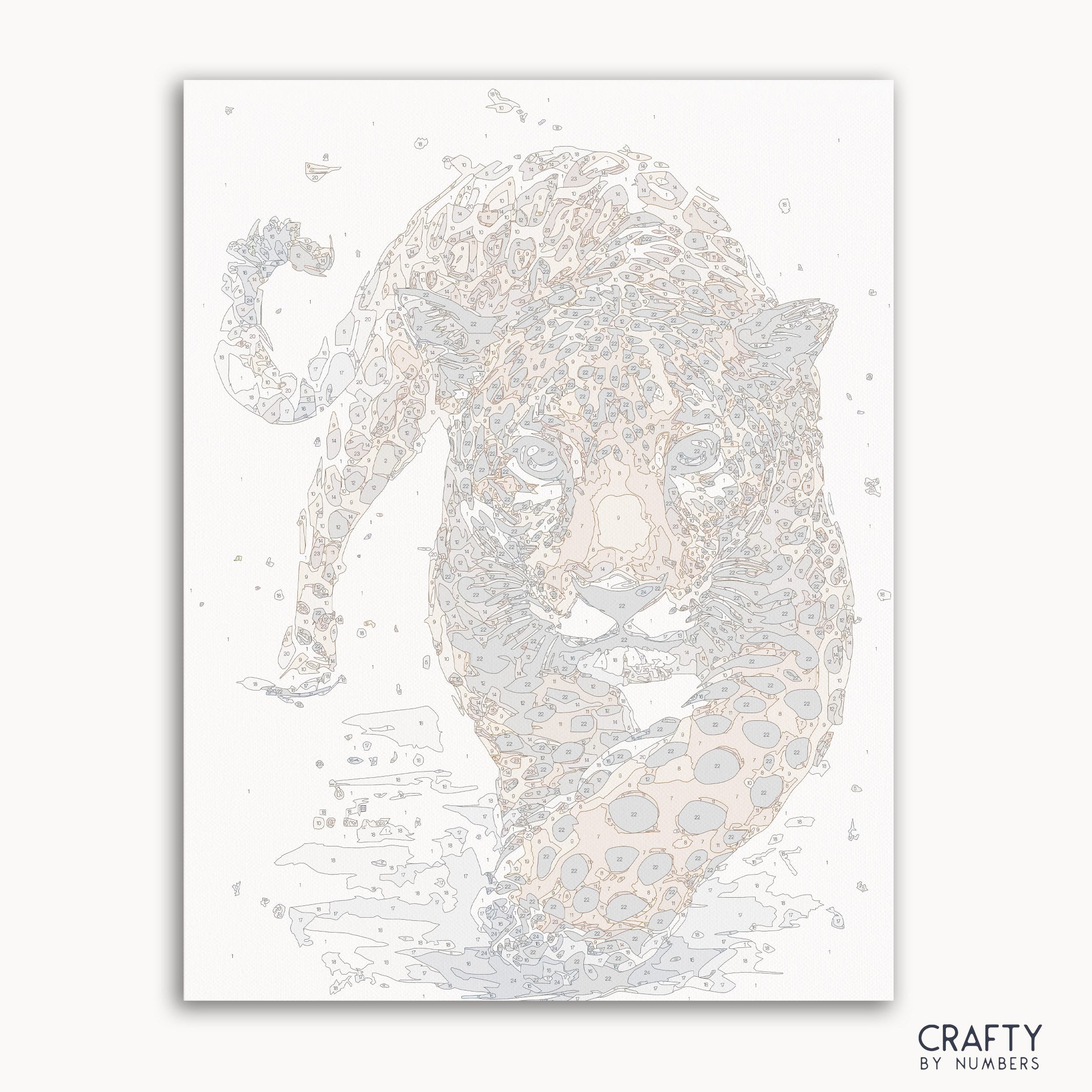Hunting Leopard