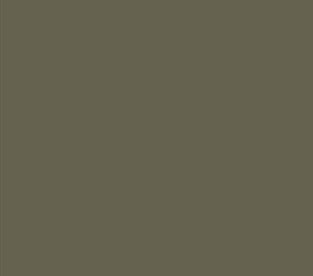 AK Interactive 11307 AFV Series: Light Grey RAL7009 3G Acrylic Paint 17ml Bottle