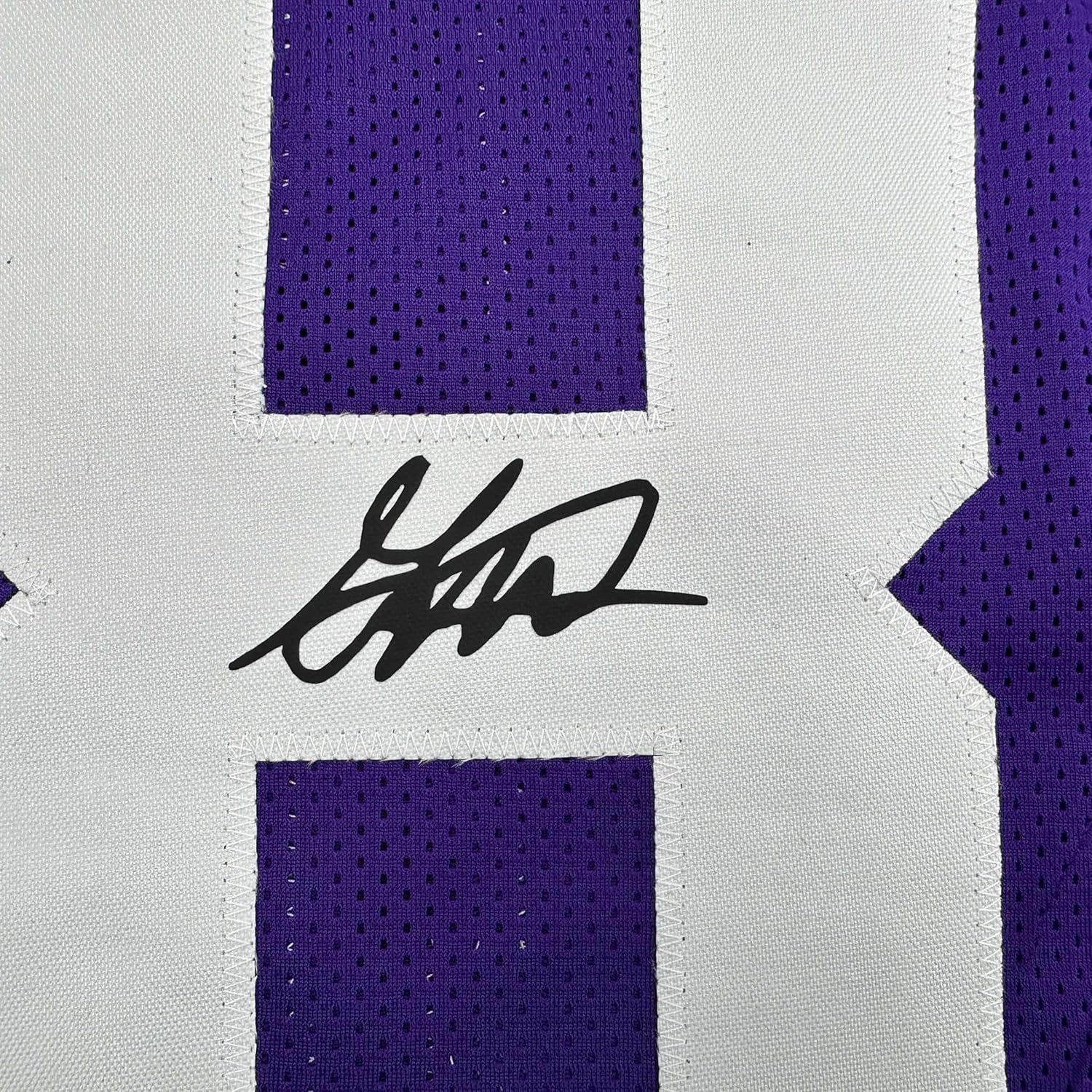 Framed Facsimile Autographed Garrett Nussmeier 35x39 LSU Purple Reprint Laser Auto College Football Jersey