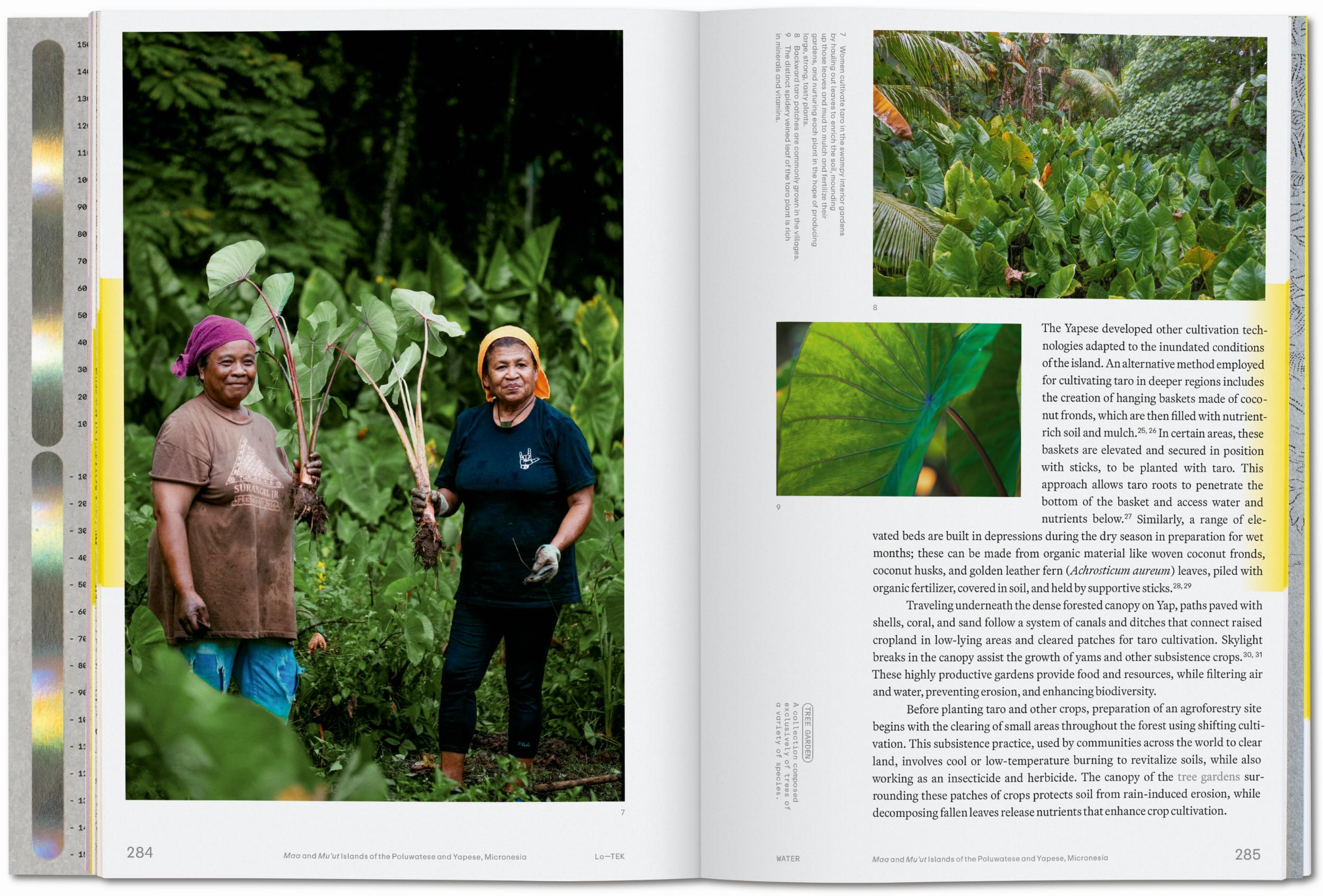 Julia Watson. Lo—TEK. Water. A Field Guide for TEKnology (English)