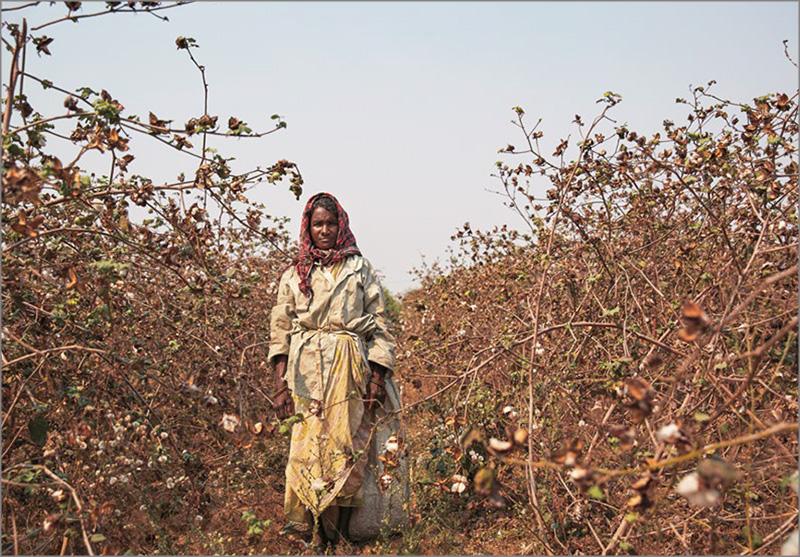 The Sartorialist. India (English)