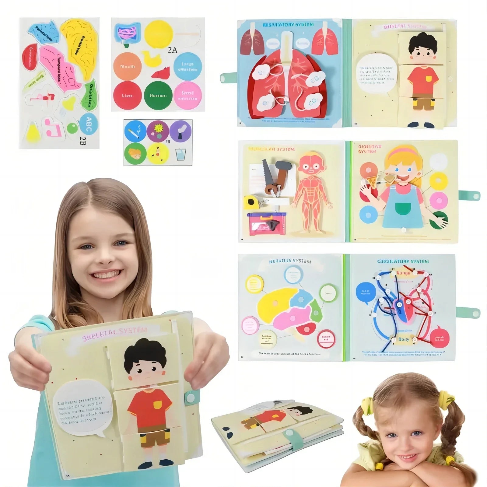 Human Body Parts Quiet Book – Educational Anatomy Felt Board for Toddlers