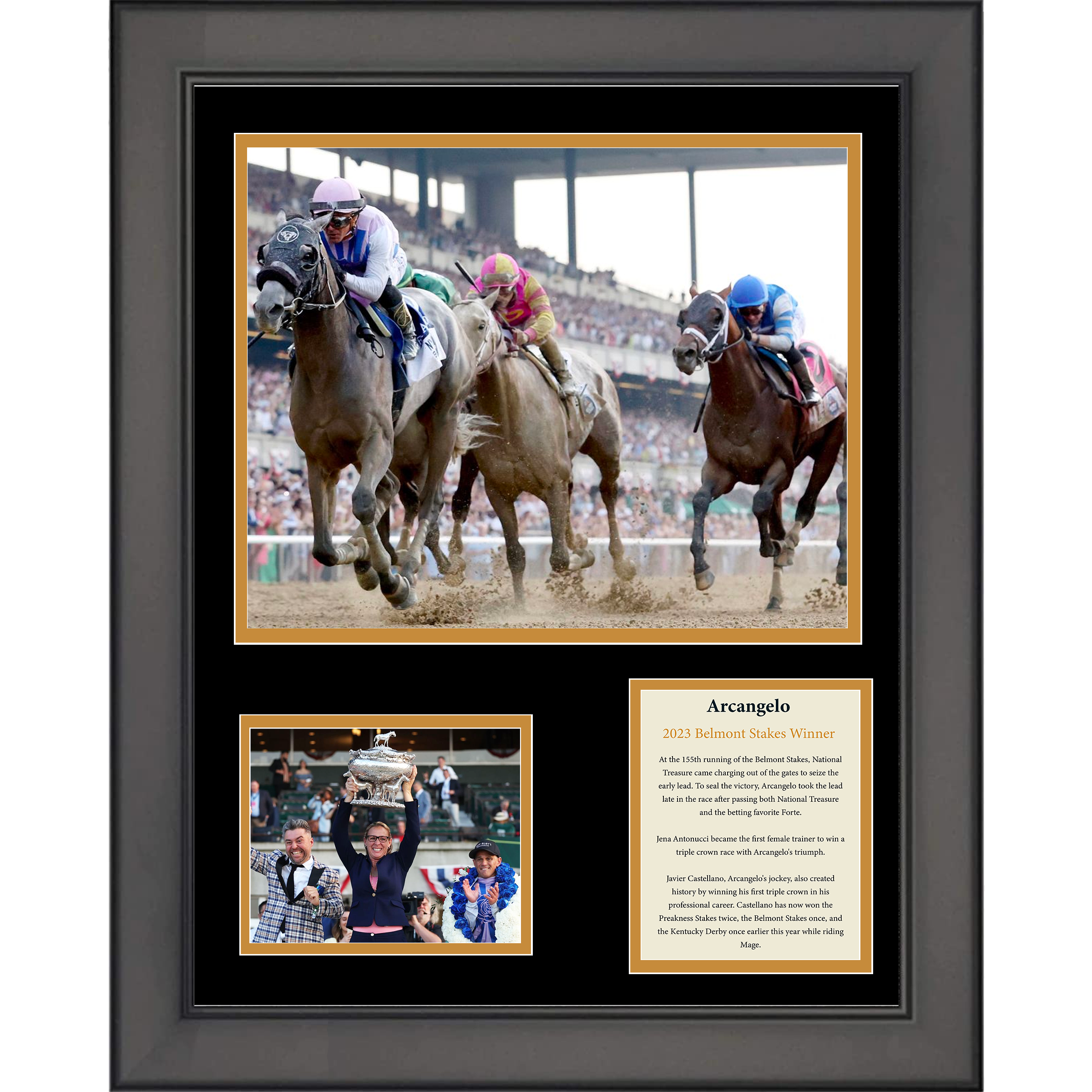 Framed Arcangelo and Javier Castellano 2023 Belmont Stakes Winner 11"x14" Horse Racing Three Photo Collage
