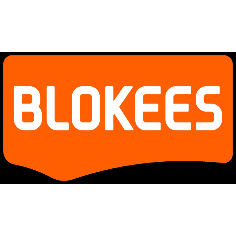 Blokees | Saint Seiya Champion Class 14 | Andromeda Shun (Pre-Order)