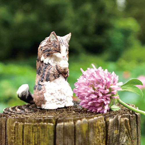 WISHING CATS BLIND BOX (1 Blind Box)