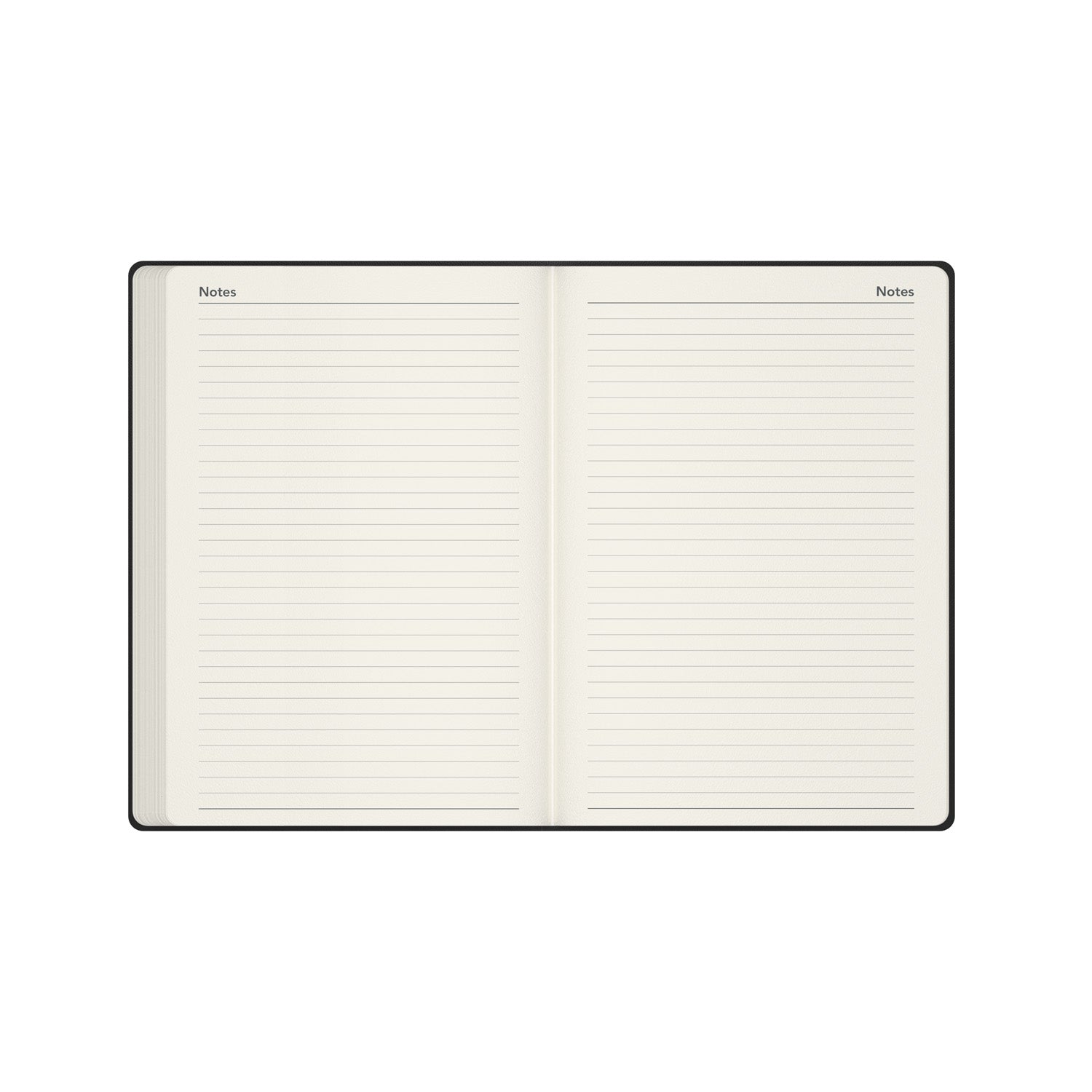 Legacy - 2026 Daily Planner - A5 Day-to-Page Diary with Appointments  (CL51-26)