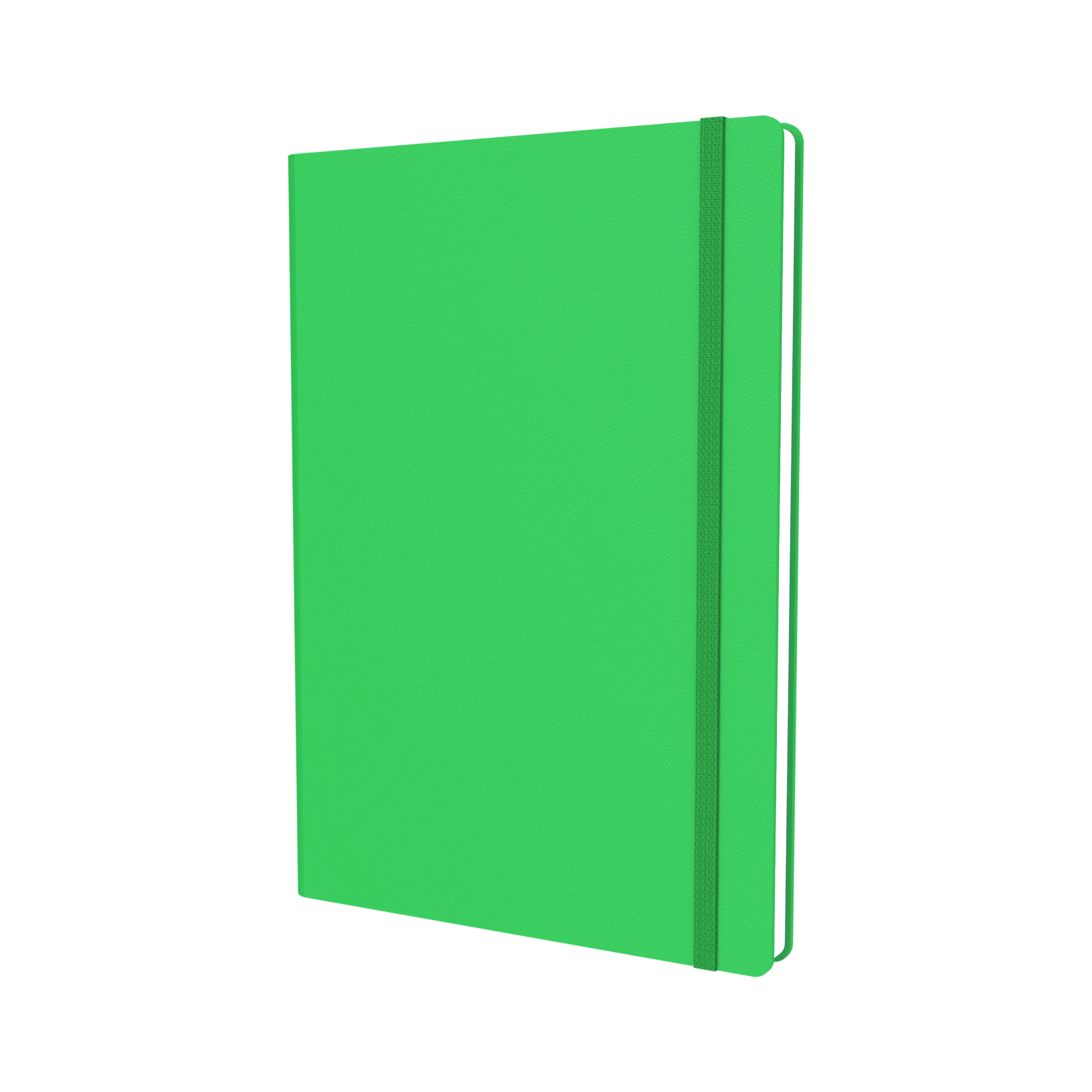 Legacy  -  Notebook A5 Dotted Journal / Notebook (CL53ND)