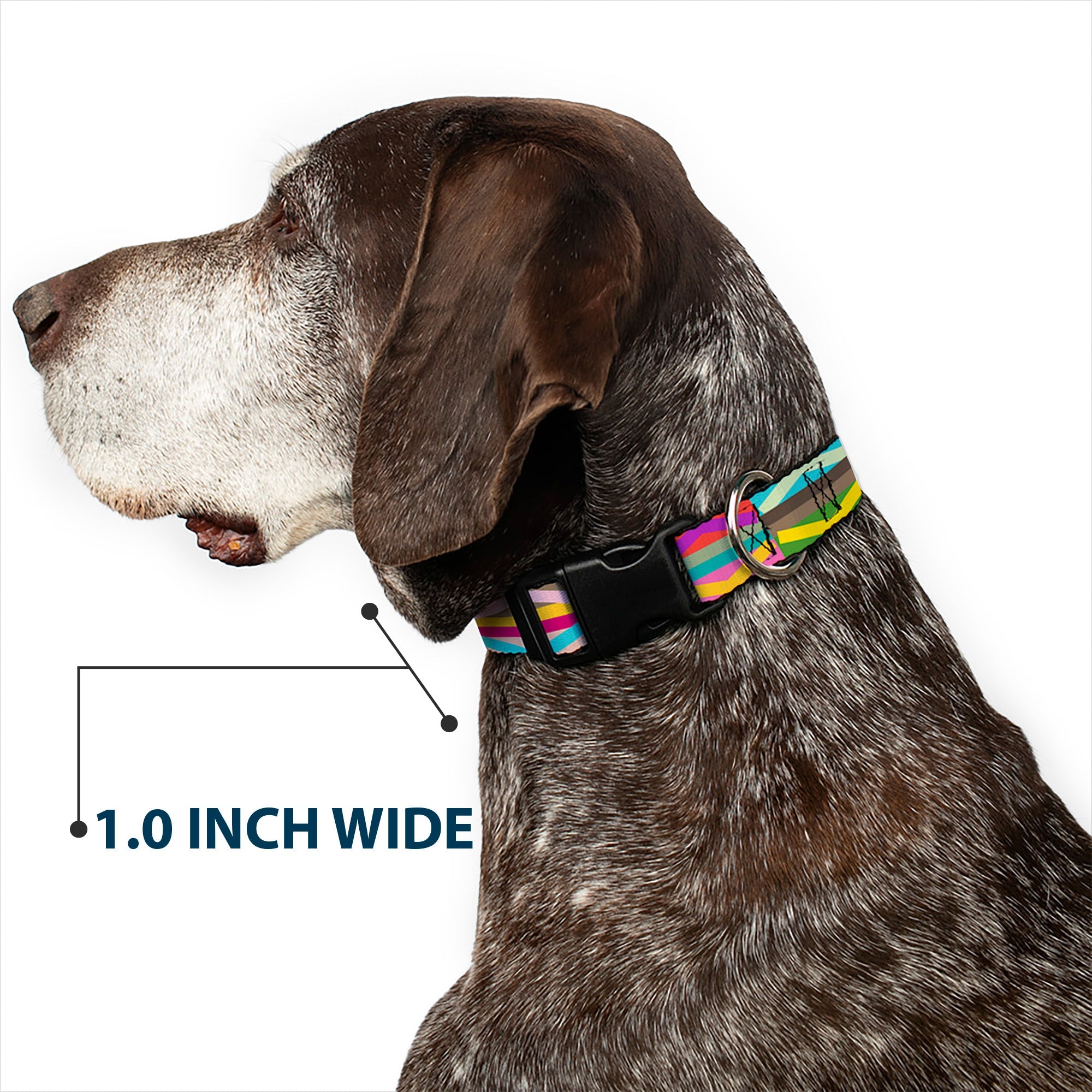 Plastic Clip Collar - Geometric10 Multi Color