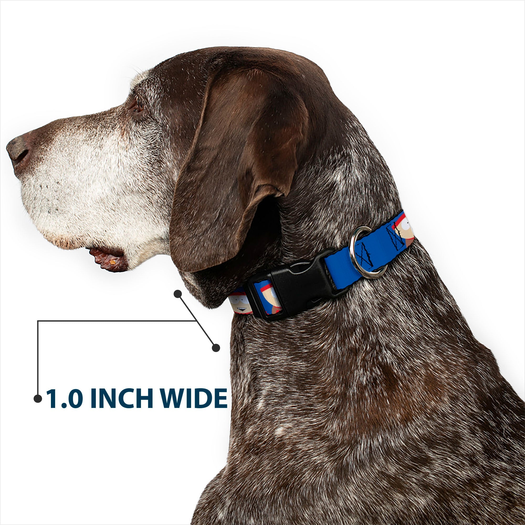 Plastic Clip Collar - South Park Stan Expressions Blue