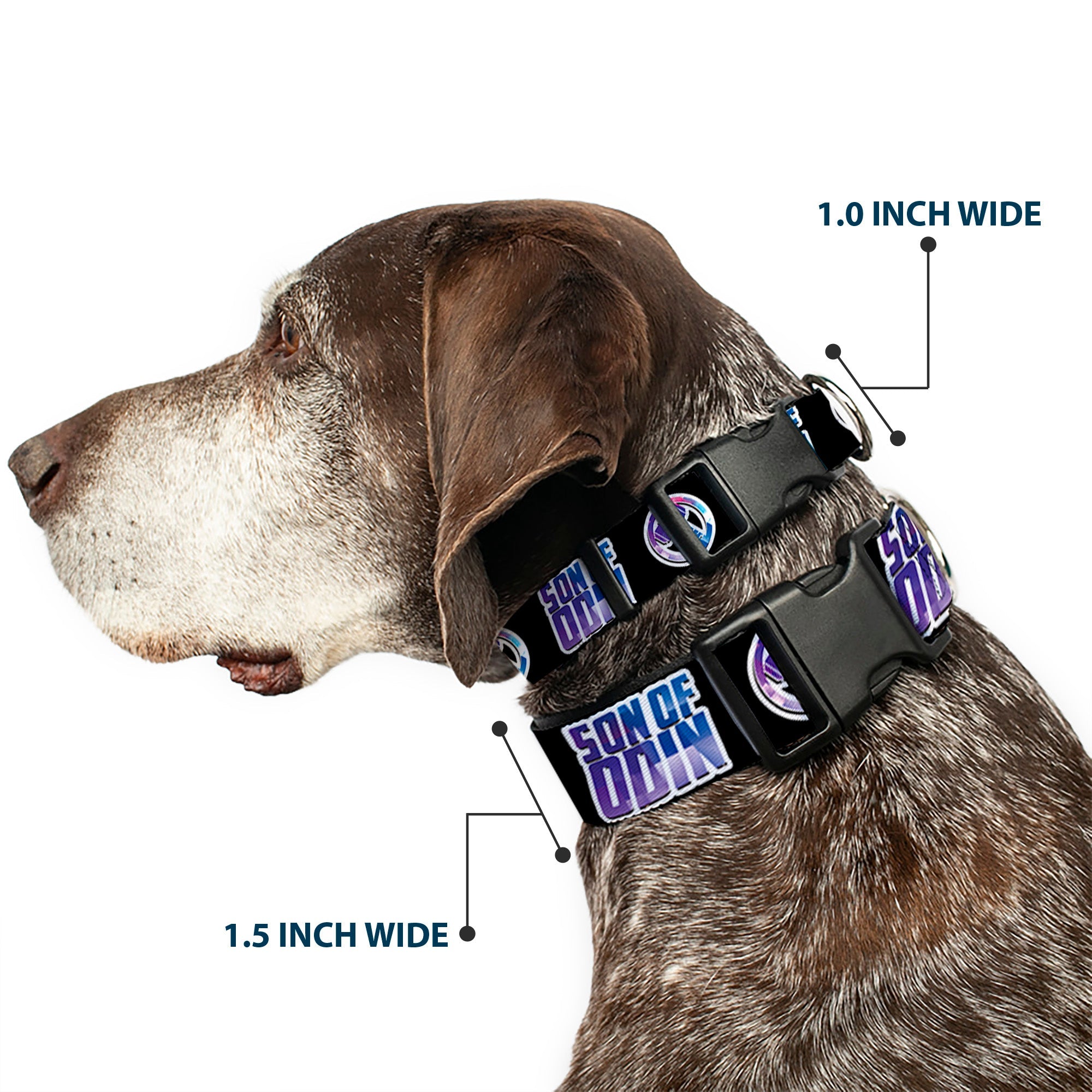 Plastic Clip Collar - Thor SON OF ODIN/Hamner Icon Black/White/Blues