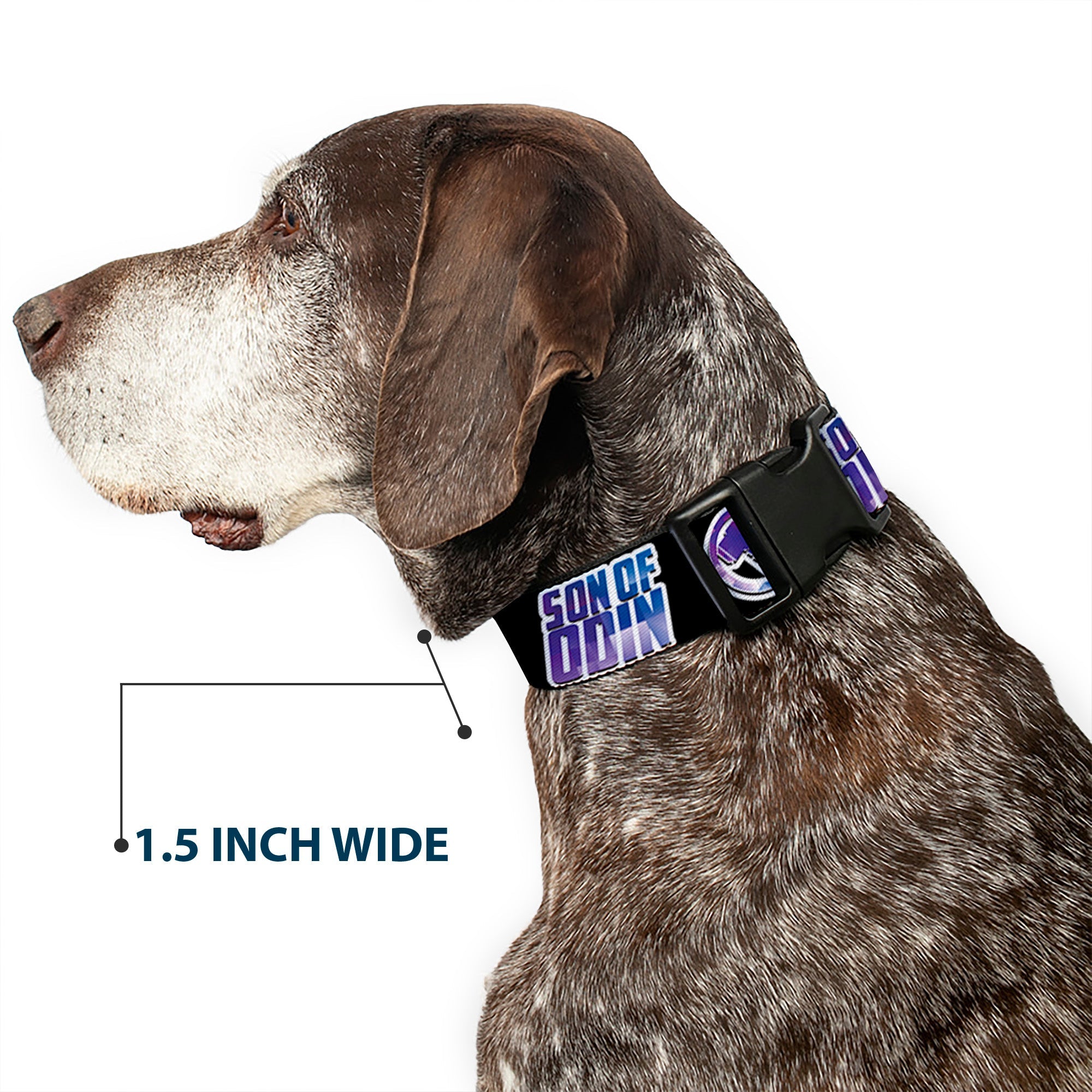 Plastic Clip Collar - Thor SON OF ODIN/Hamner Icon Black/White/Blues