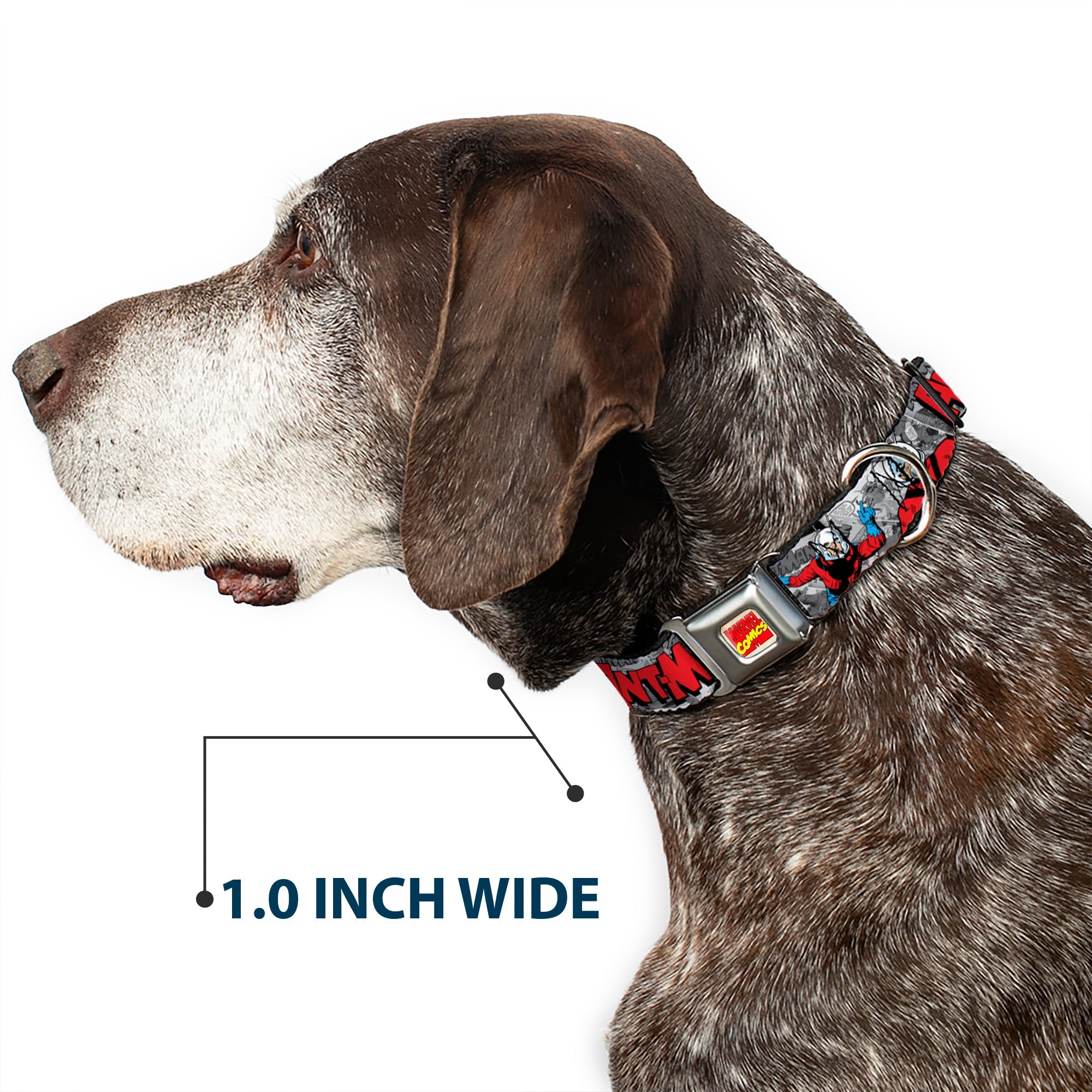 Marvel Comics Logo Full Color Seatbelt Buckle Collar - Classic ANT-MAN 3-Poses/Comic Stacked Grays/Black/Red